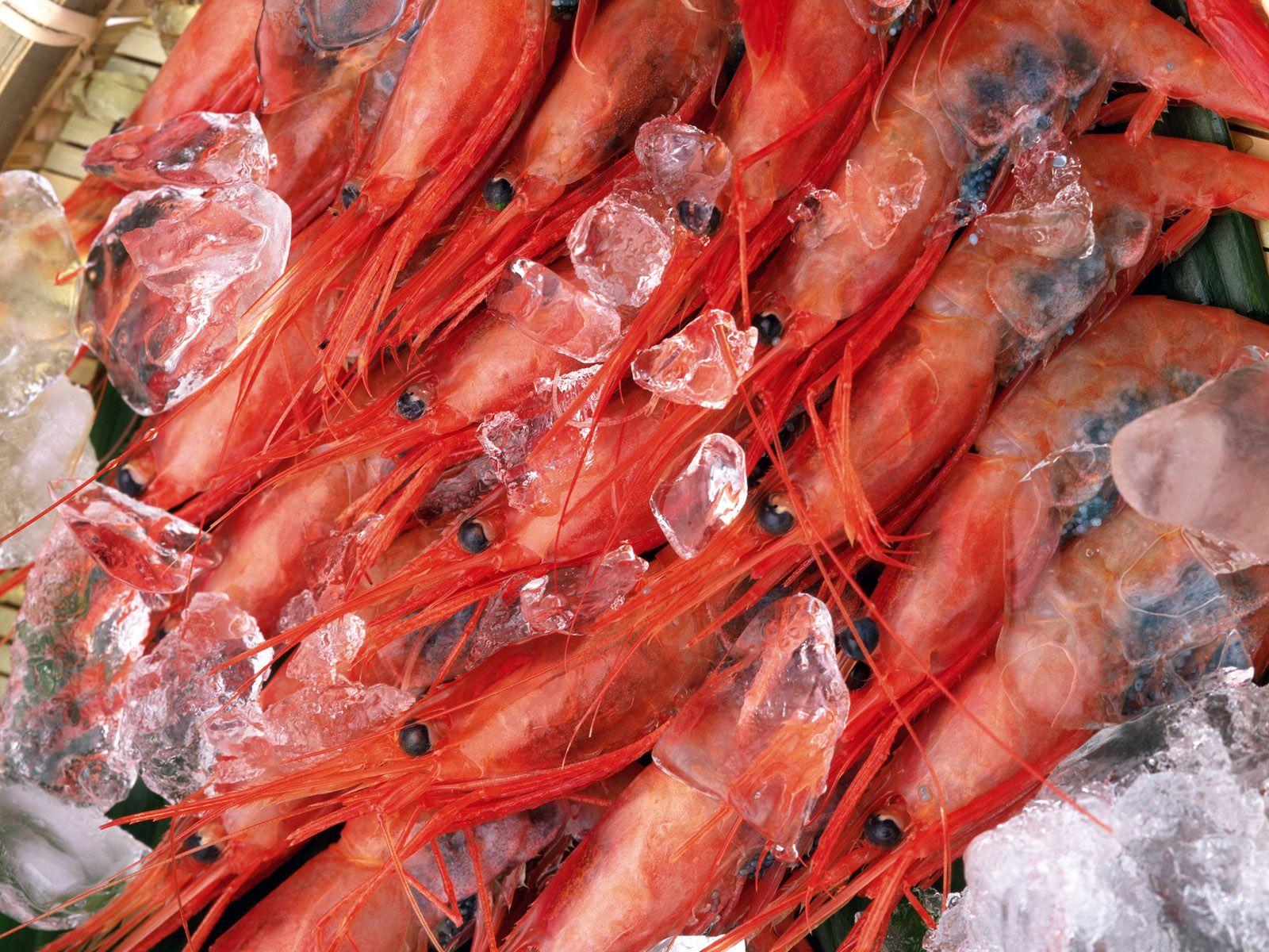 Frozen shrimp wallpaper and image, picture, photo