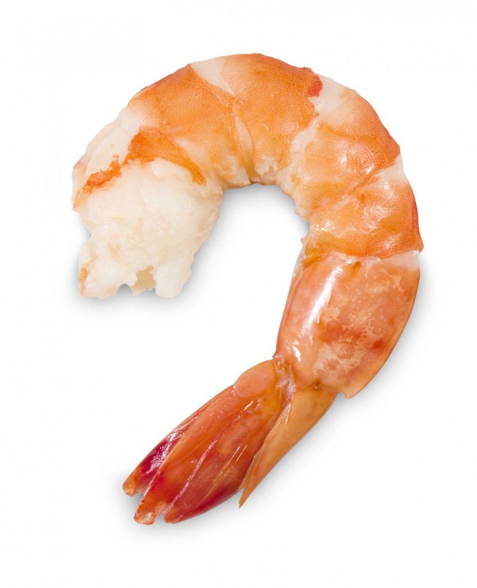 Best HD Shrimp Wallpaper