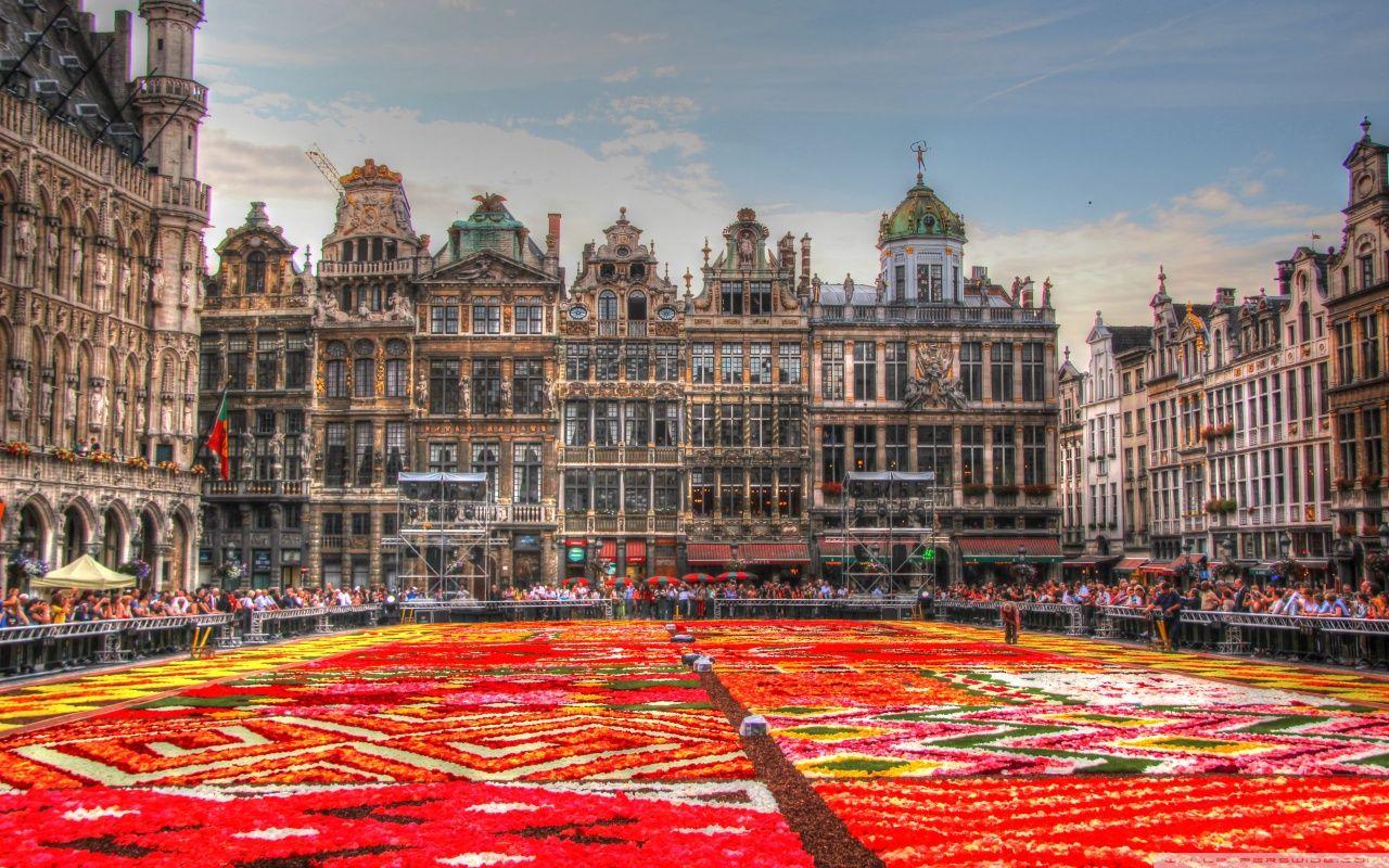 Flower Carpet Place, Belgium HD desktop