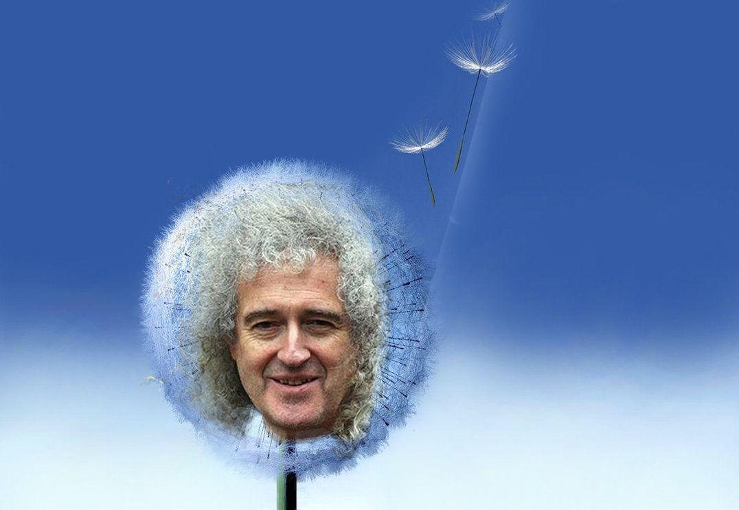 Free download Samsung Galaxy Dandelion Brian May