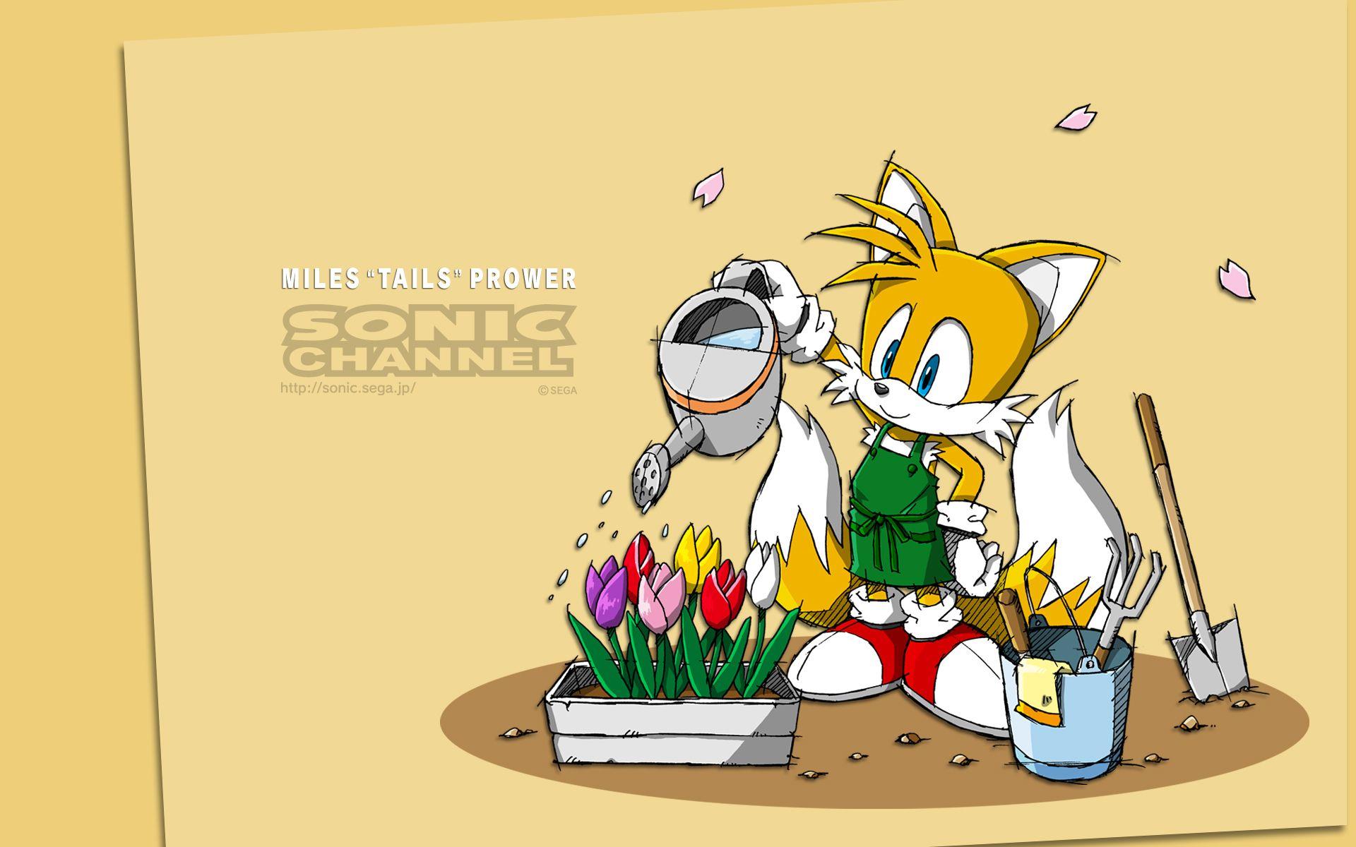 04 Tails Prower Channel