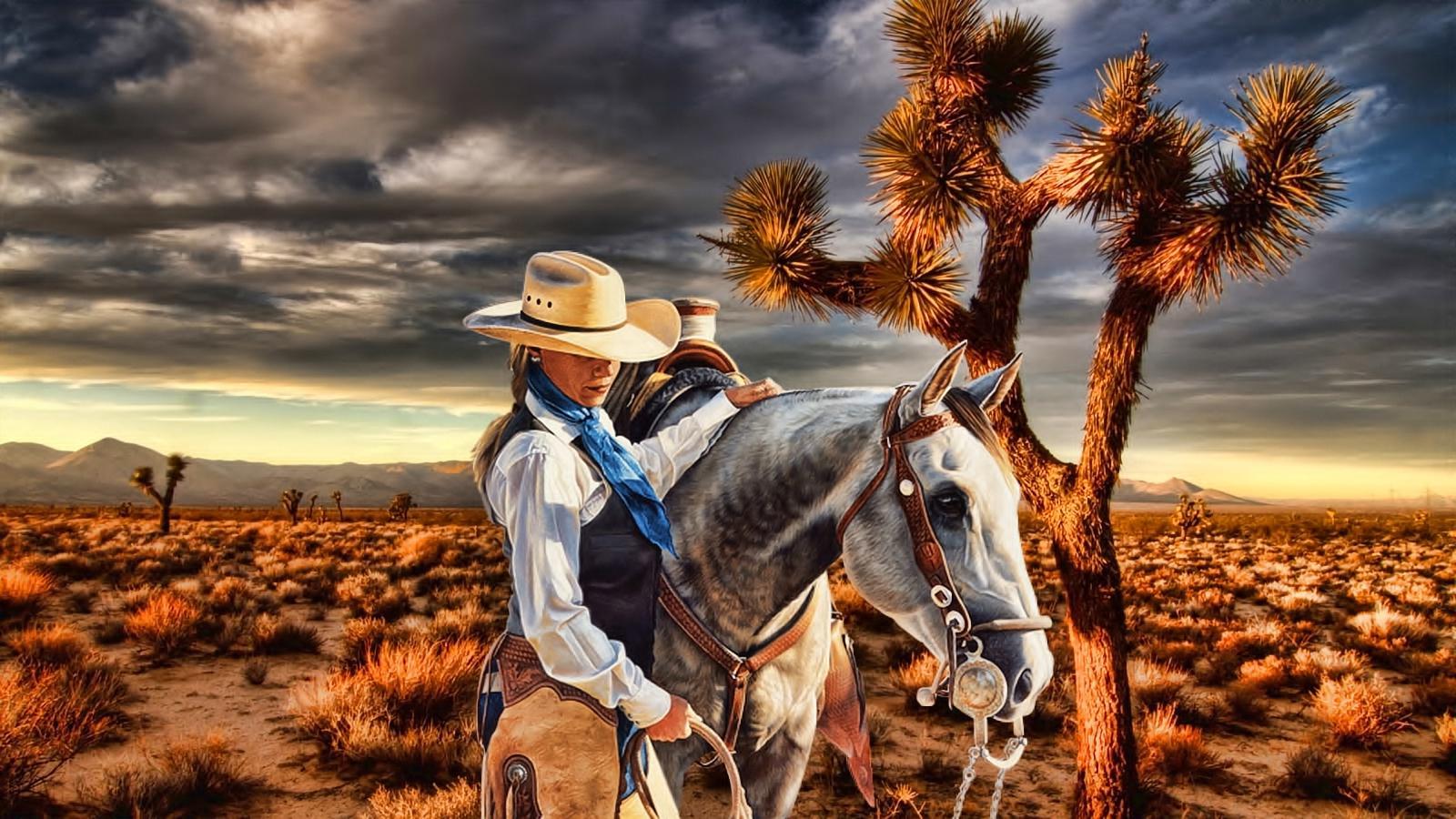 Cowgirl aesthetic wallpaper by hailybussey  Download on ZEDGE  a871