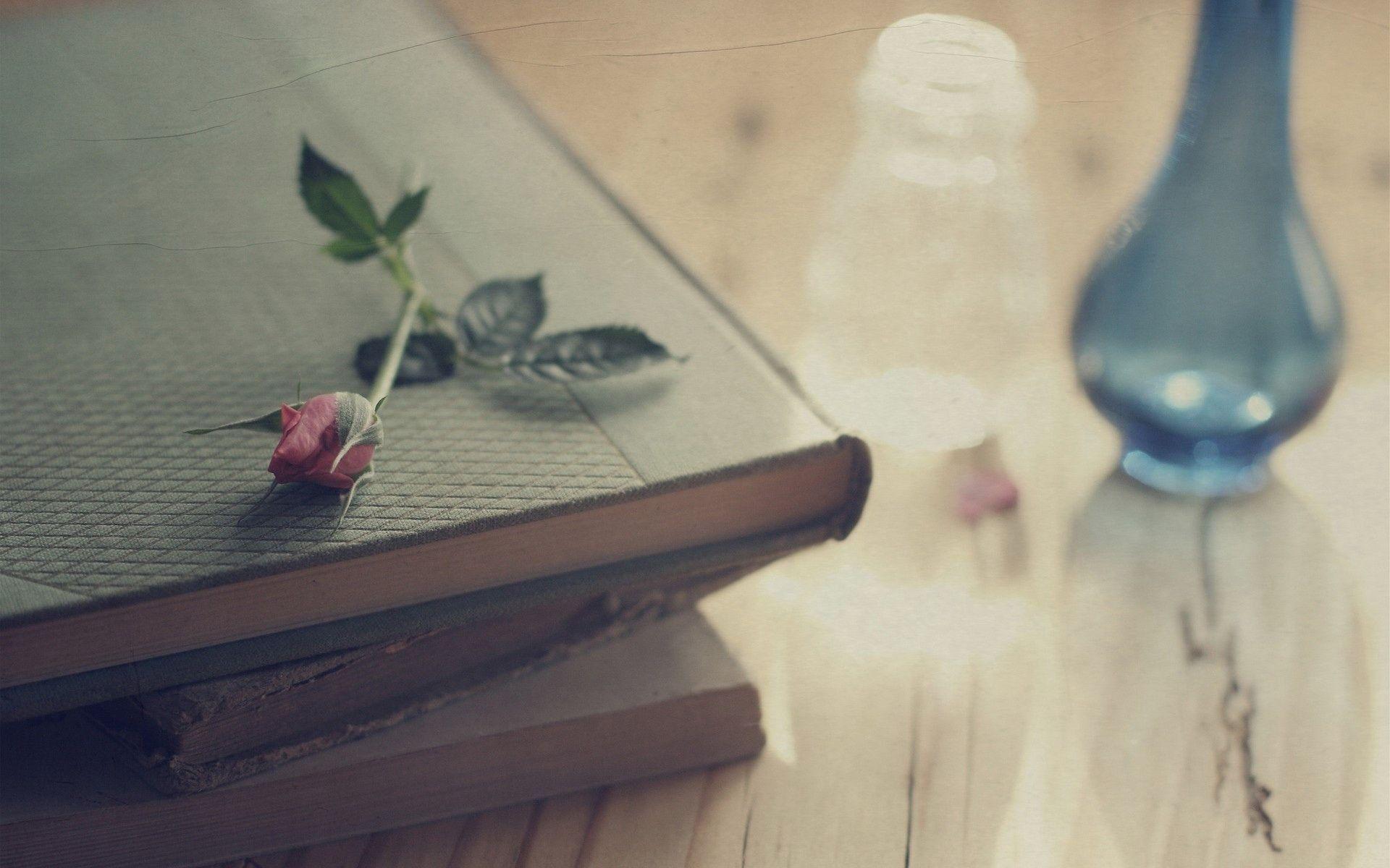 Rose On Old Books