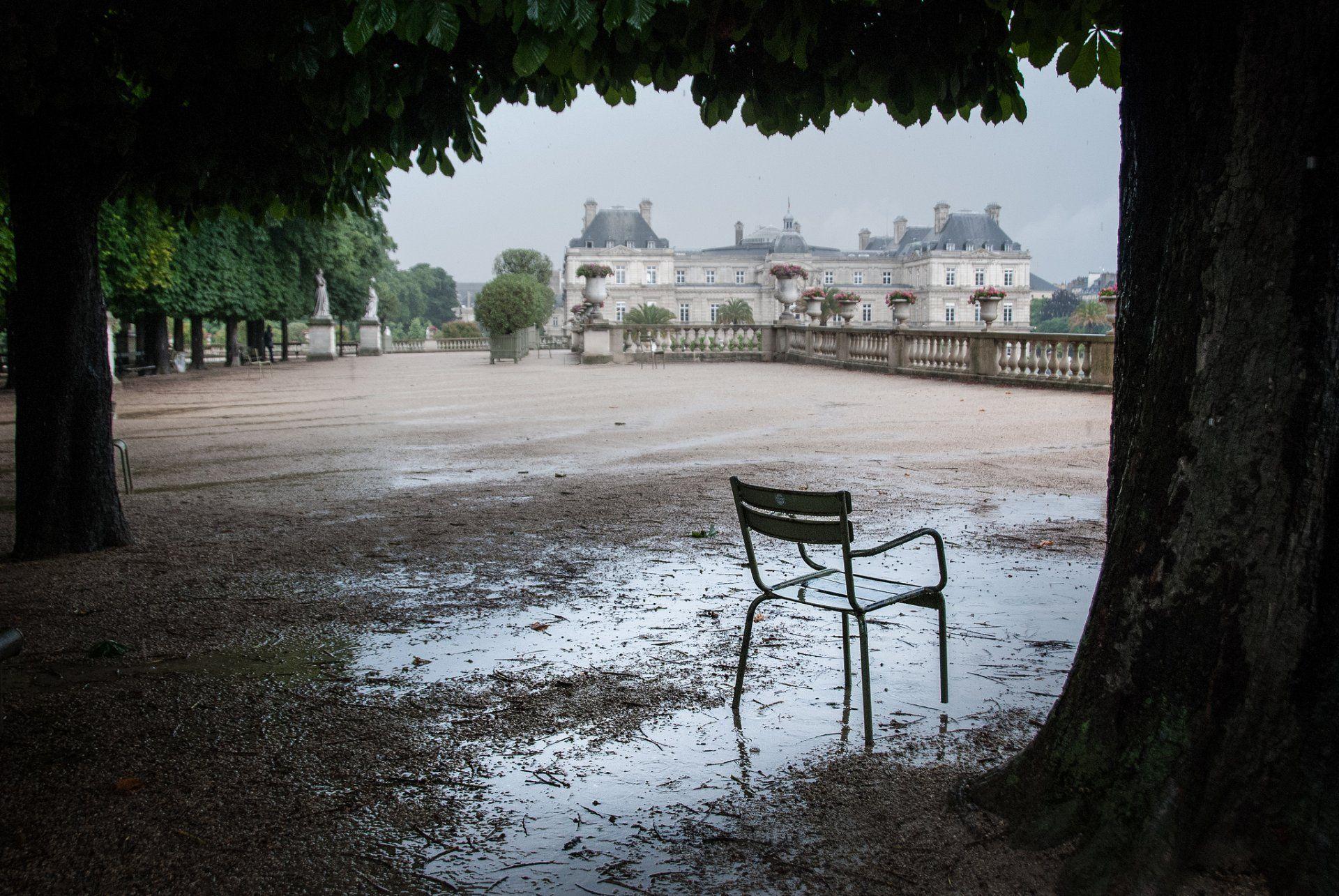 luxembourg terrace tree chair a pool after the rain HD wallpaper