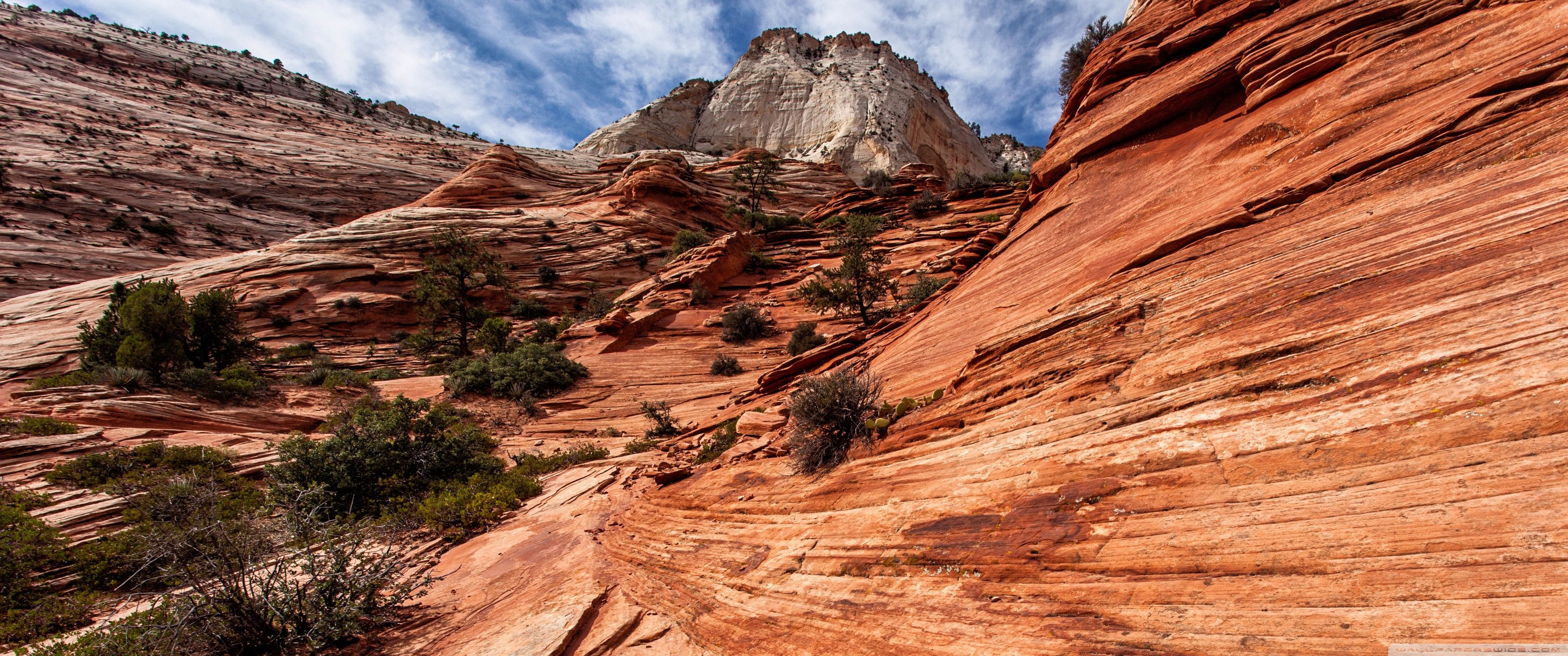Zion National Park, Utah HD desktop wallpaper, Widescreen, High