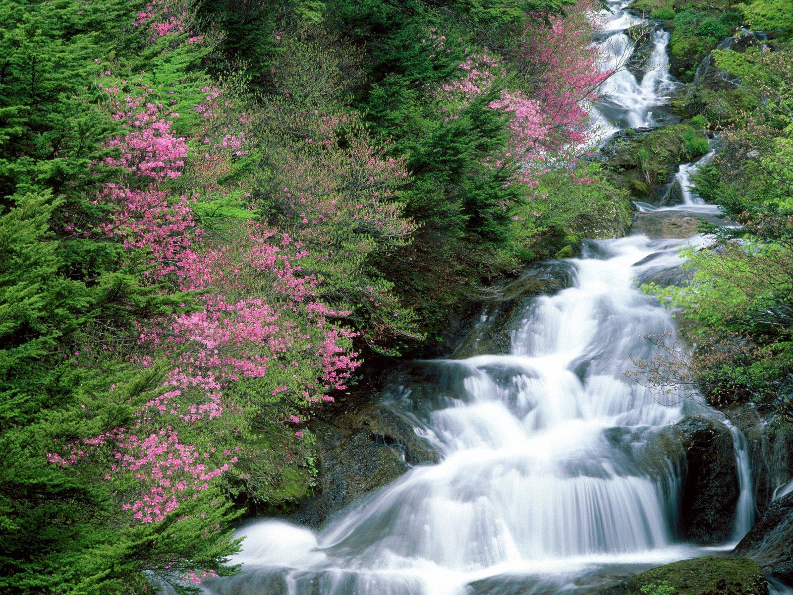 Beautiful Waterfalls. Wallpaper Provider: Waterfall Wallpaper