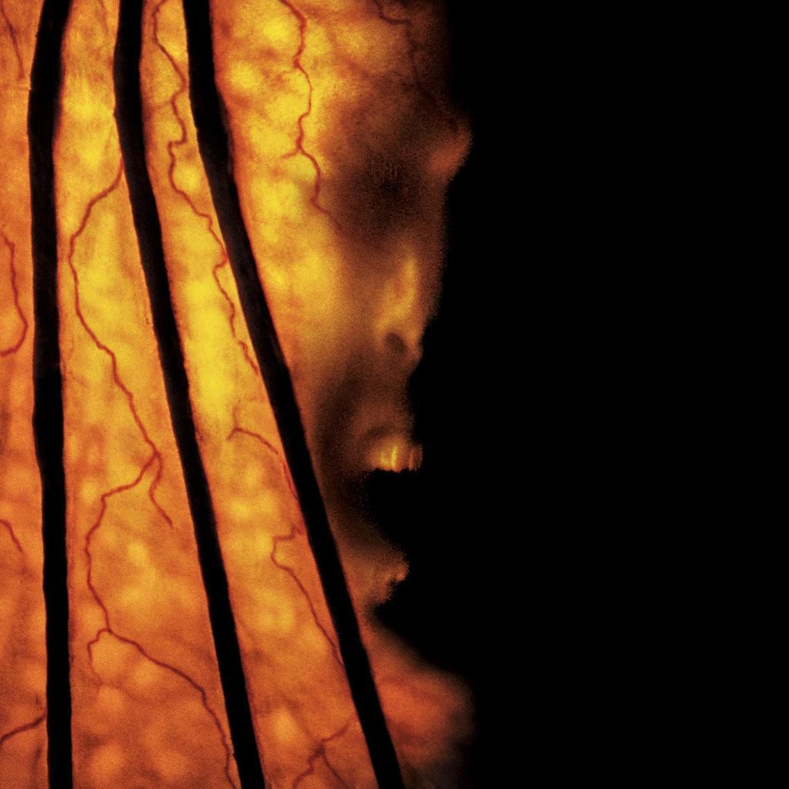 Jeepers Creepers 2. wallpaper. Jeepers creepers and Rock