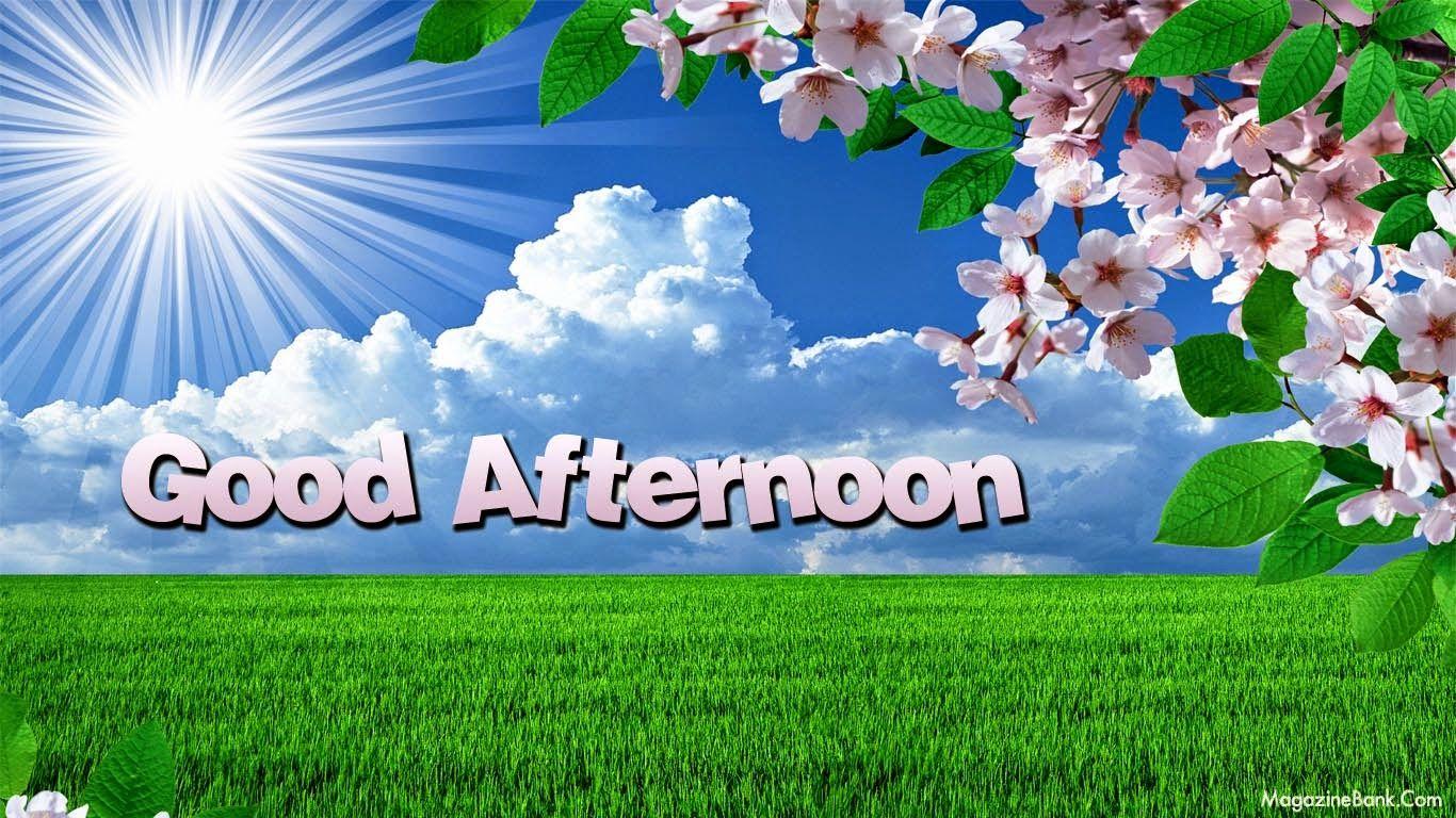 Download Good Afternoon Wallpaper Desktop Gallery