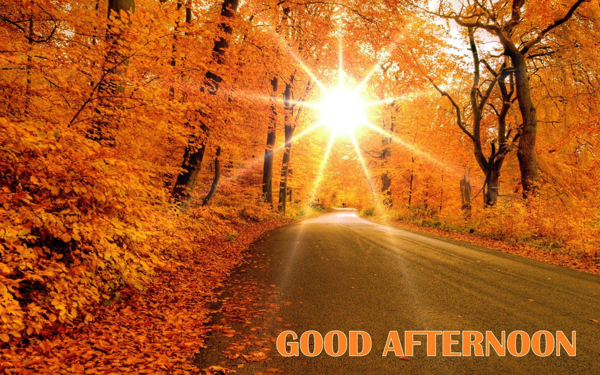 good afternoon amazing autumn road way HD wallpaper