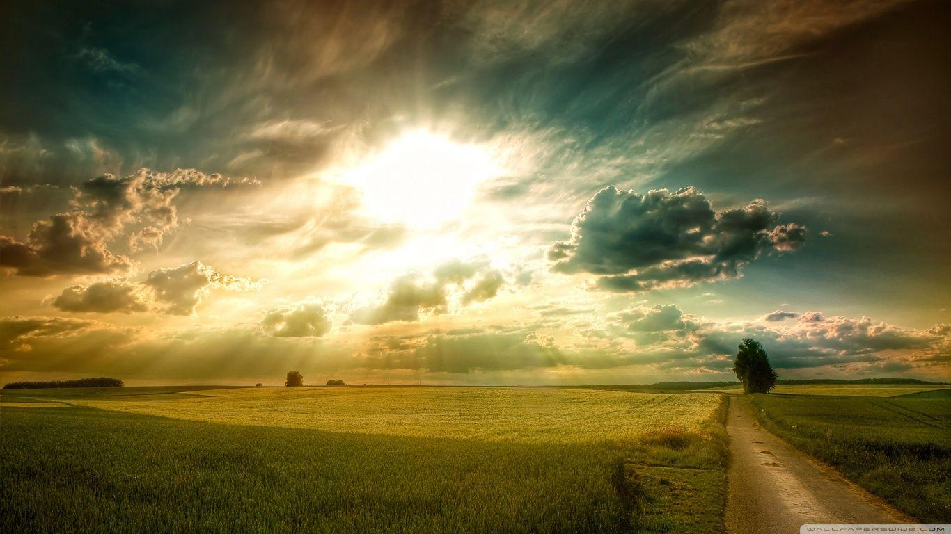 Sunny Afternoon HD desktop wallpaper, High Definition