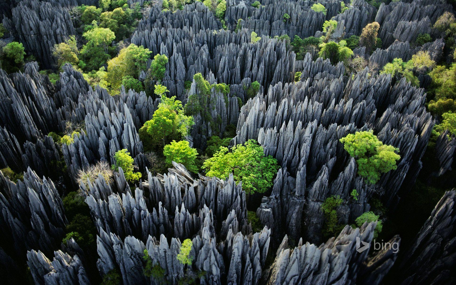 Tsingy de Bemaraha National Park, Madagascar. Wallpaper Binging