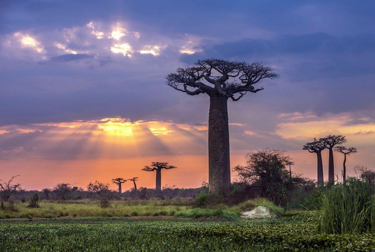 Embrace Madagascar this October on an Exclusive Private Plane