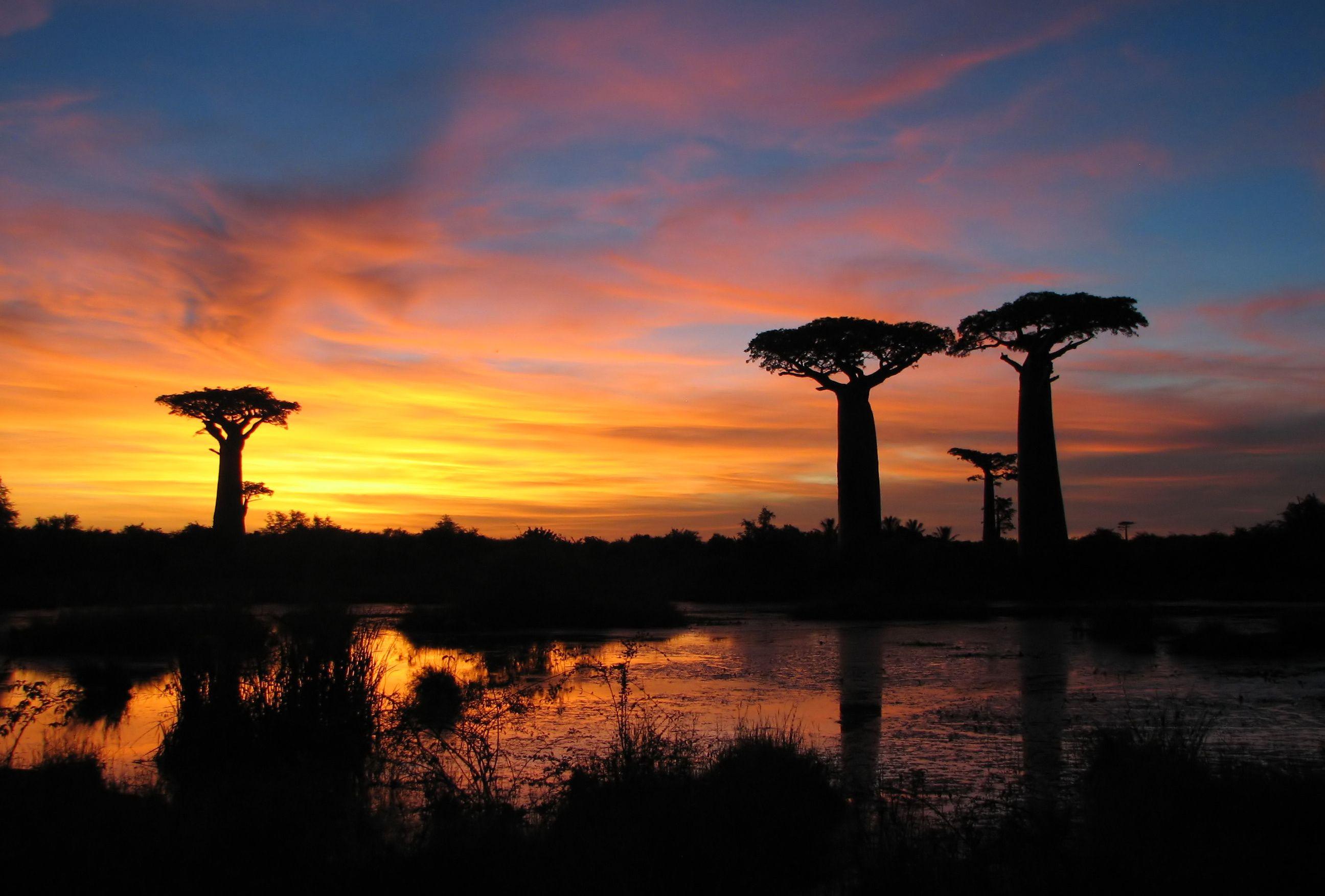 Madagascar Country Wallpapers Wallpaper Cave Madagascar Country Wallpapers Wallpaper Cave