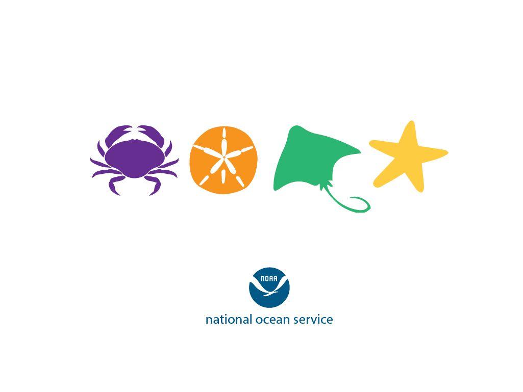 NOAA's National Ocean Service: Infographics