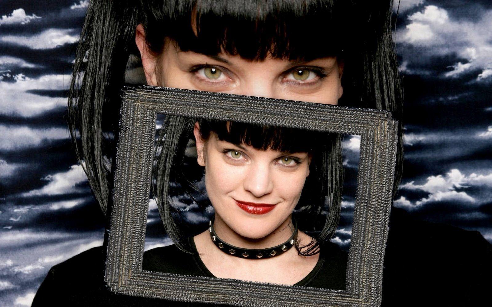 pauley perrette wallpaper and background
