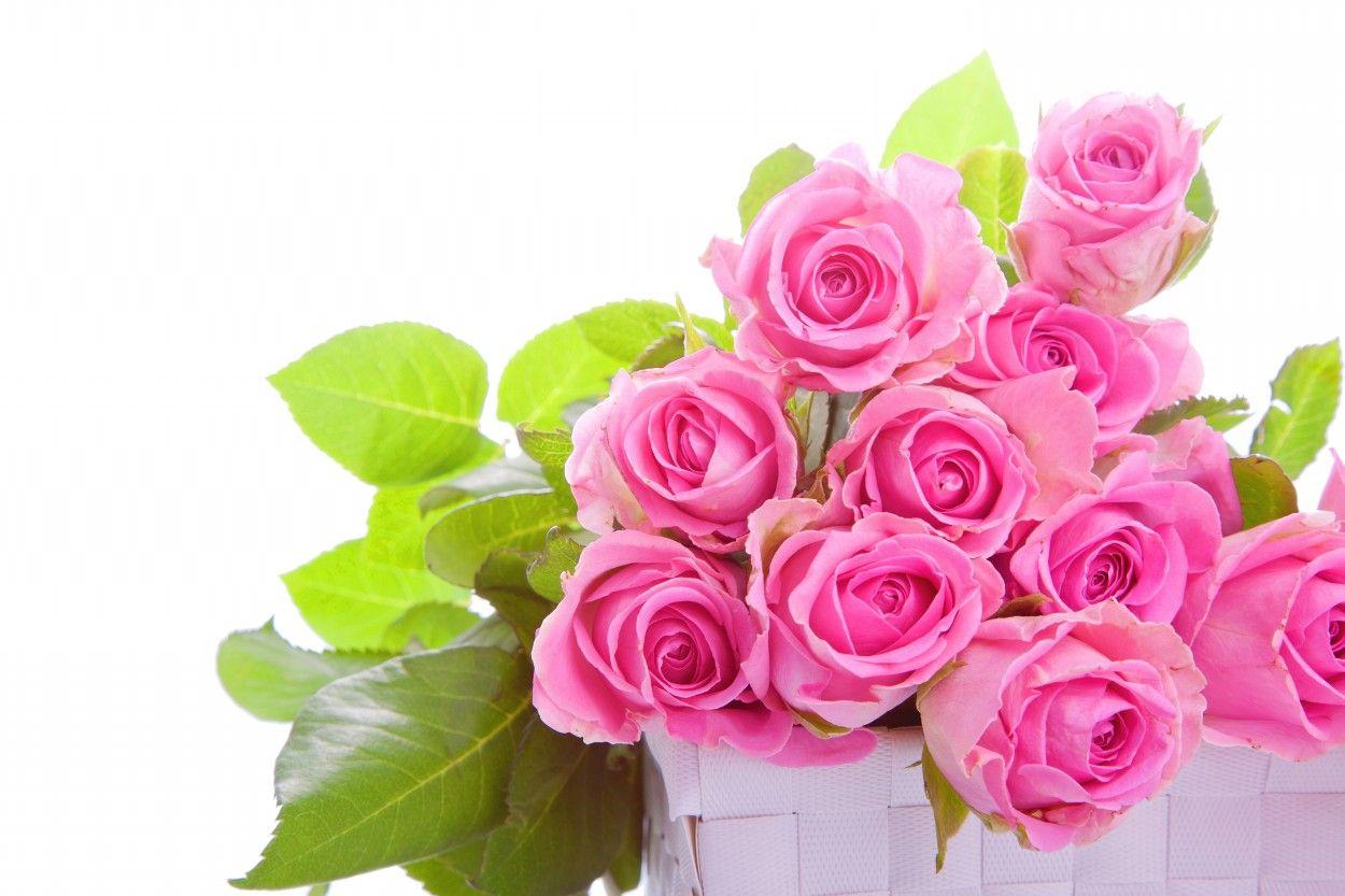 Different Flower Bouquets. Wonderful HD Photo, Wallpaper • Elsoar
