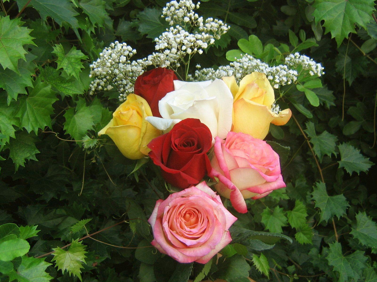 Roses Bouquets Wallpaper