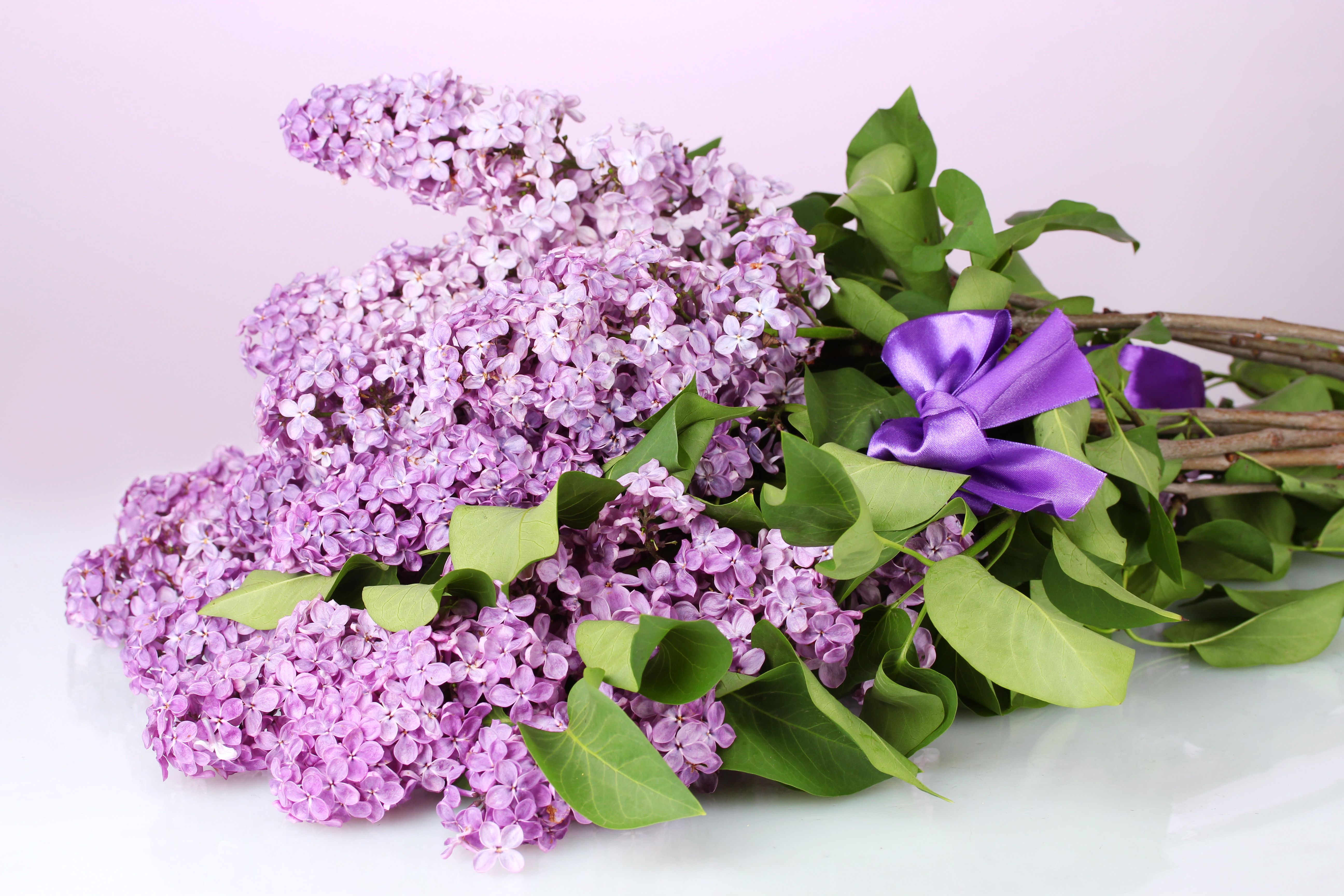 Lilac Flower Bouquet