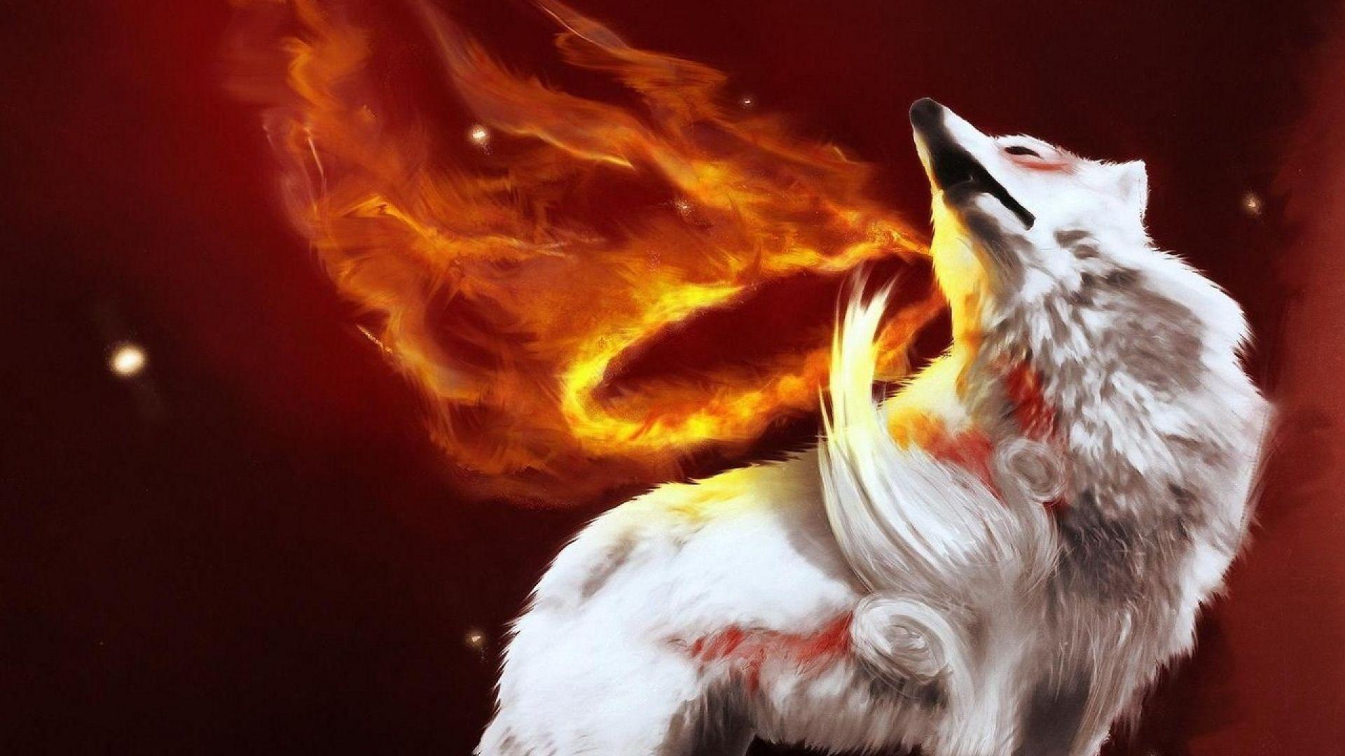 Fire Wolf Wallpapers - Wallpaper Cave