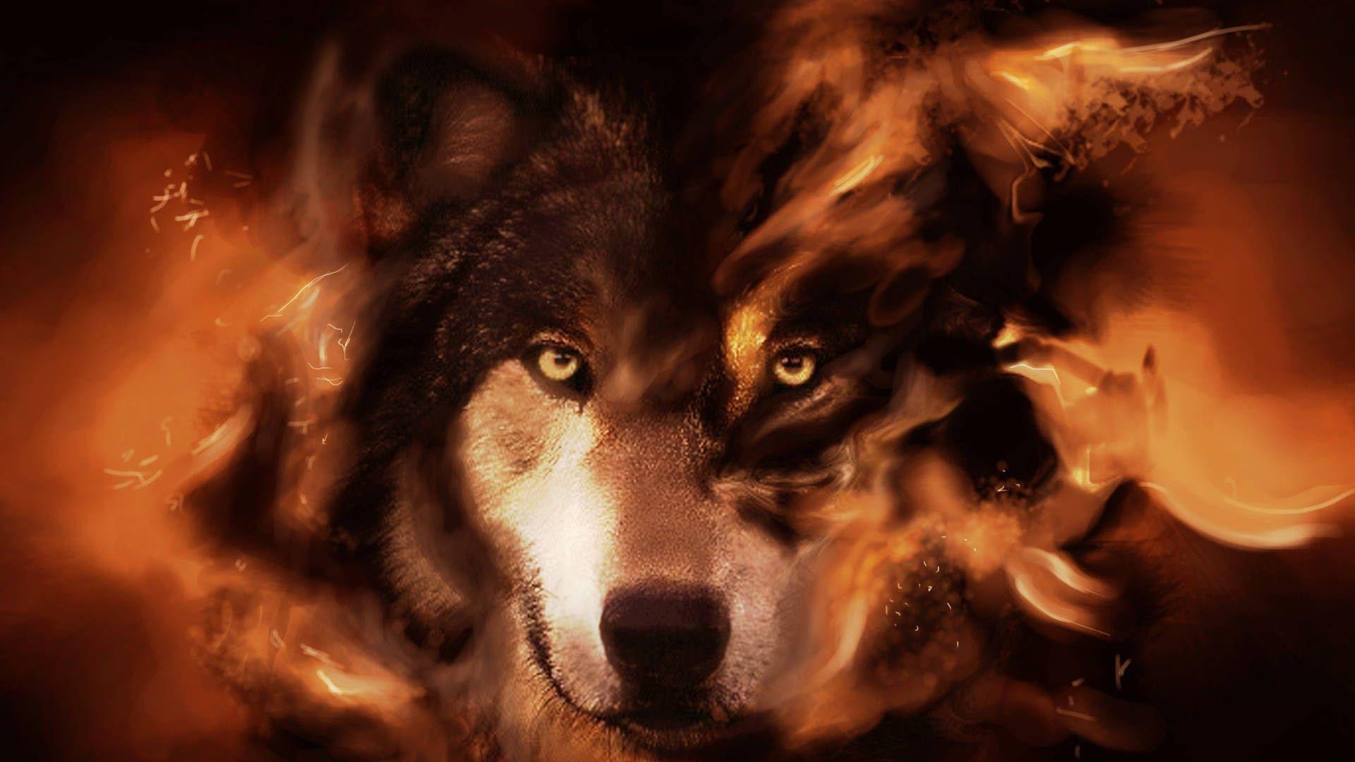 Rainbow Fire Wolf Wallpapers Wallpaper Cave