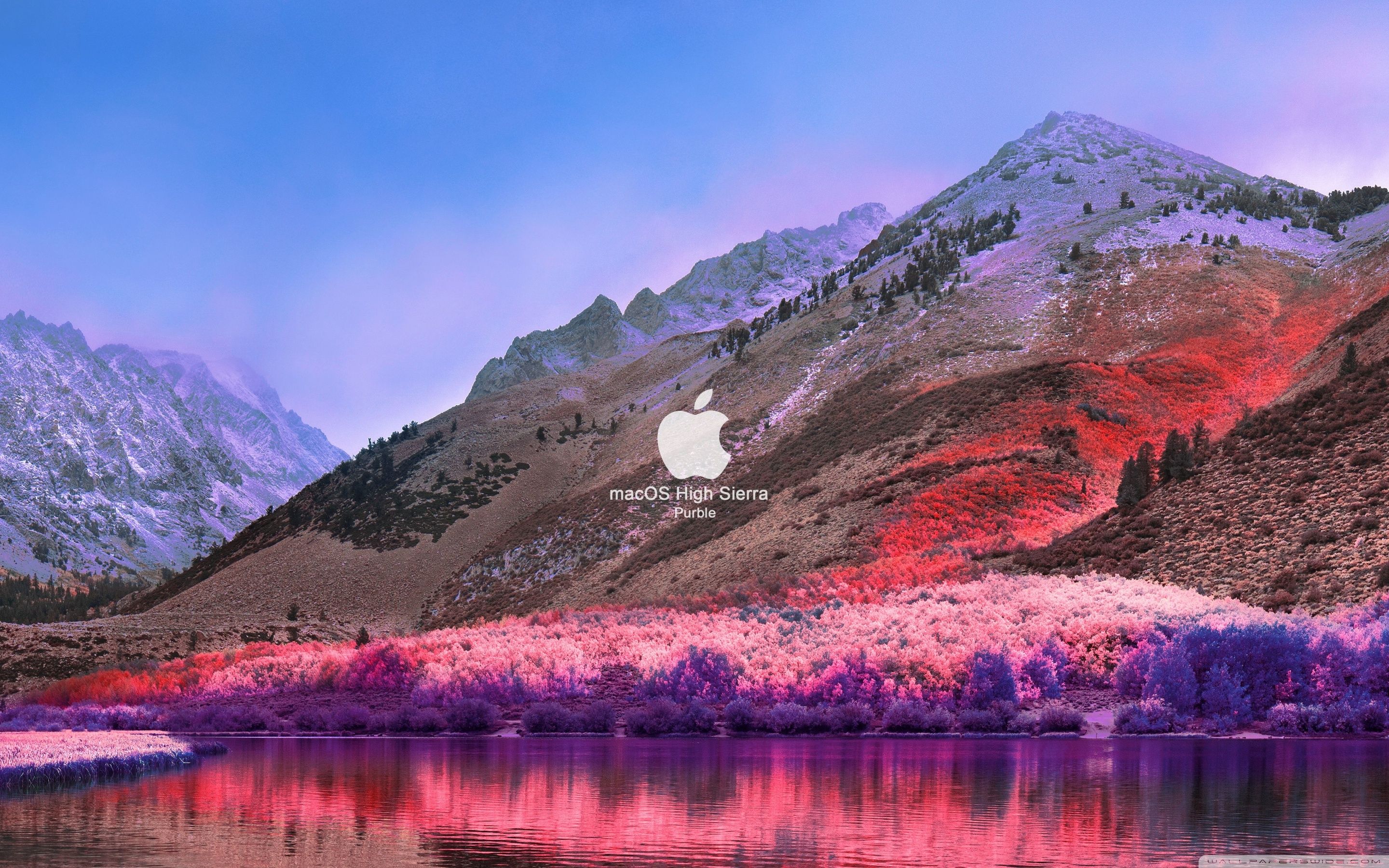 MacOS Wallpapers Wallpaper Cave