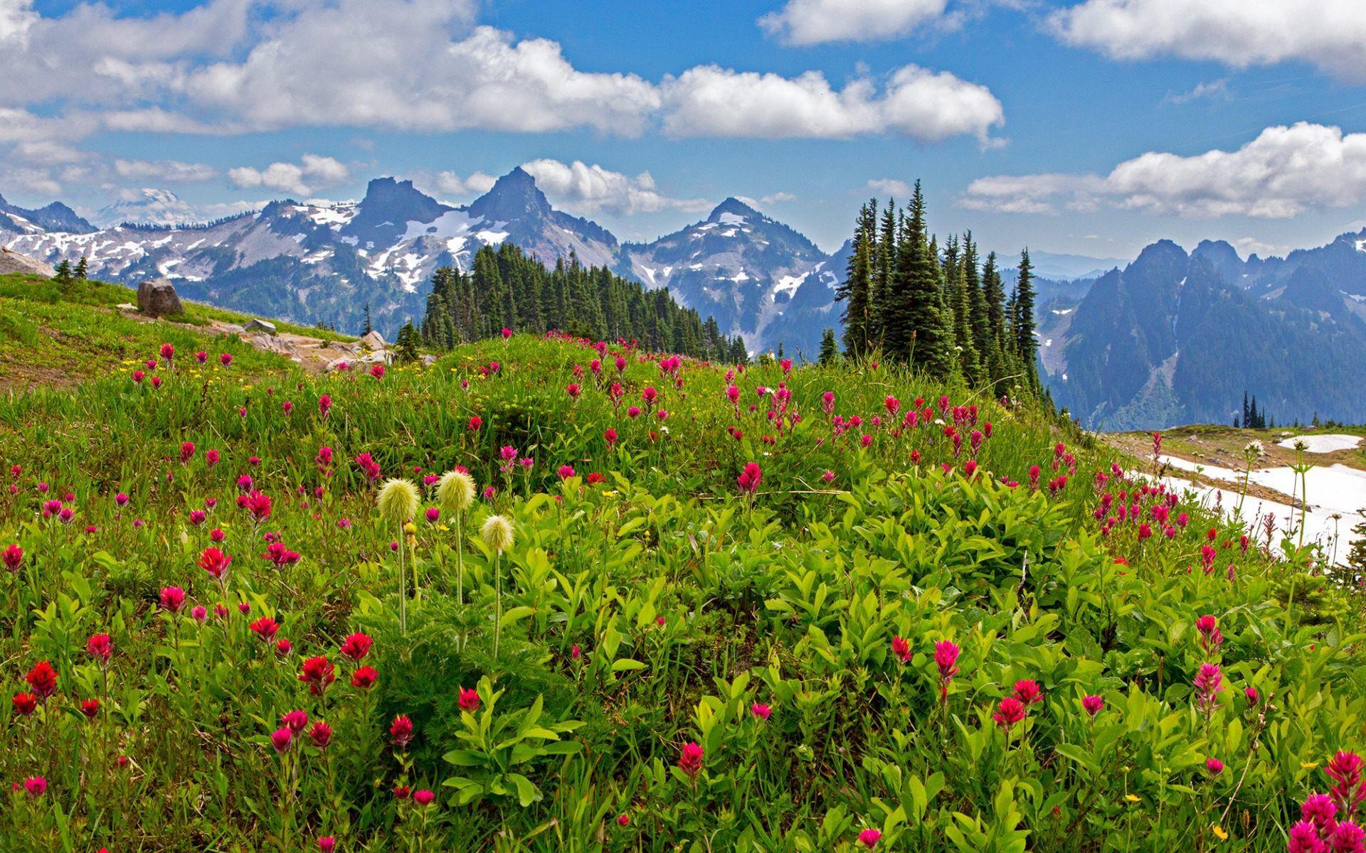 Mount Rainier National Park Wallpaper HD For Desktop Download