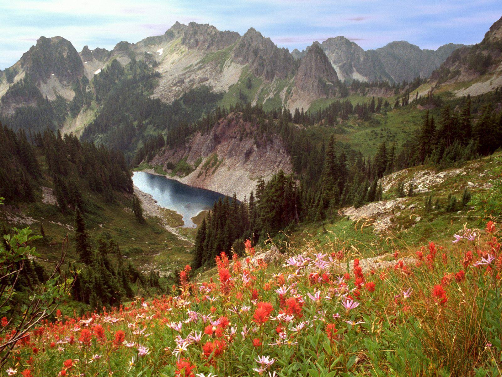 1024x768px Mount Rainier National Park (241.64 KB).08