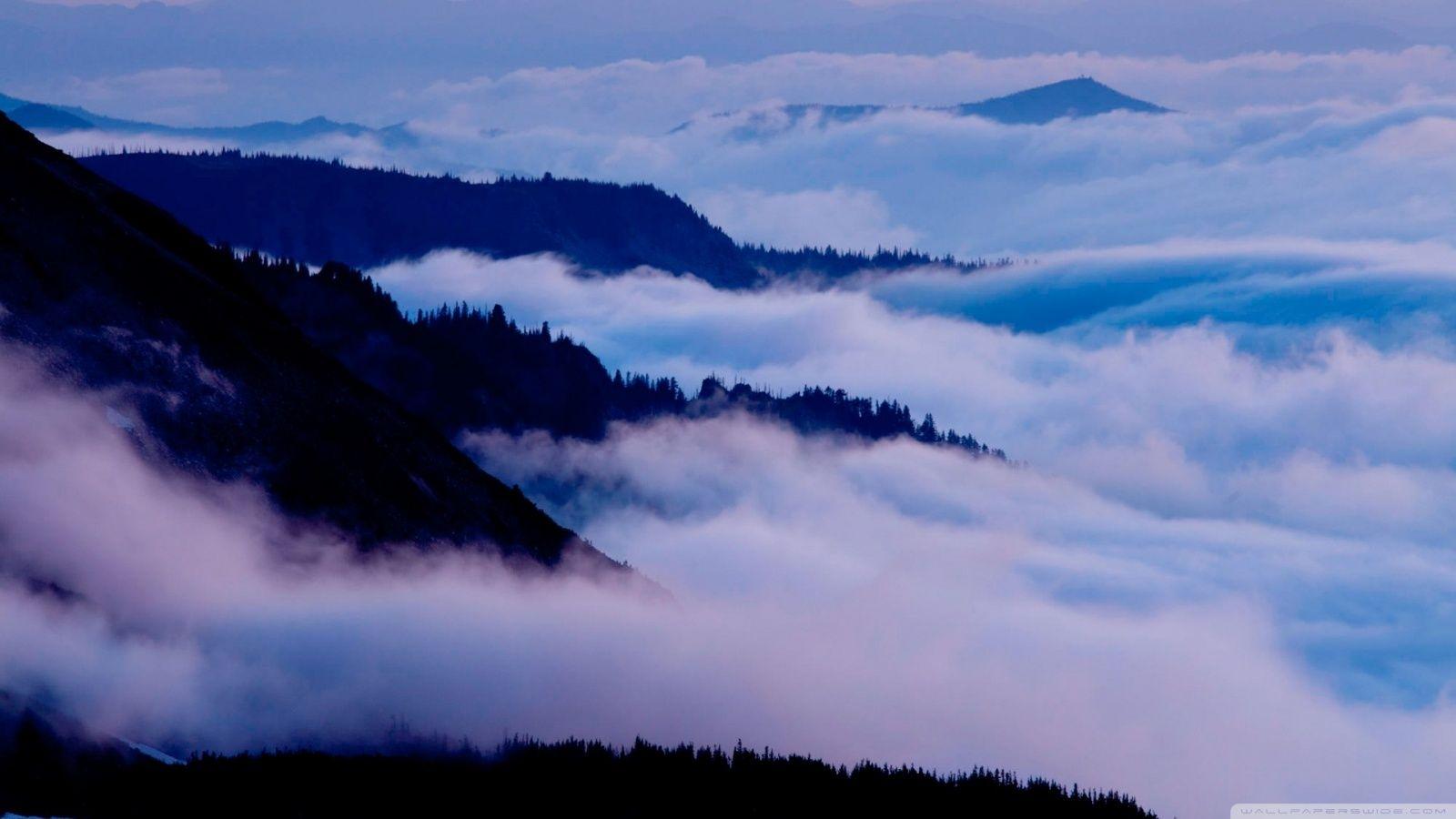 Mount Rainier National Park, Washington HD desktop wallpaper