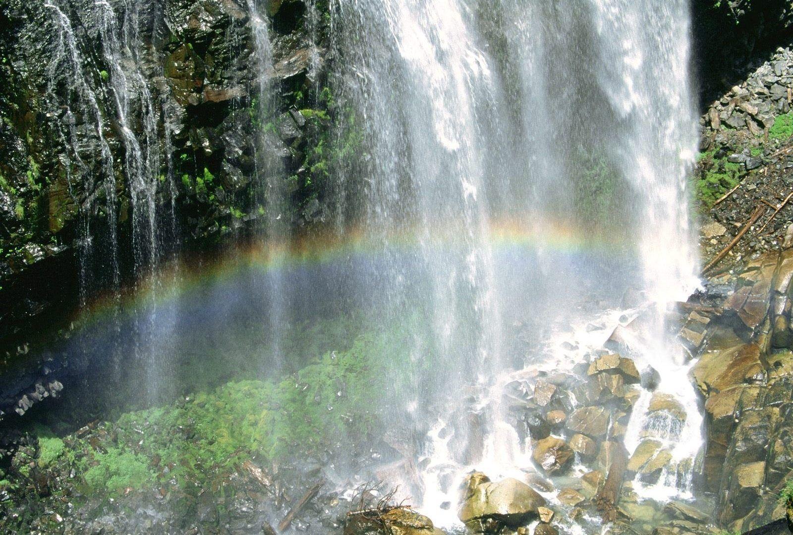 Waterfalls: Narada Falls Mount Rainier National Park Washington