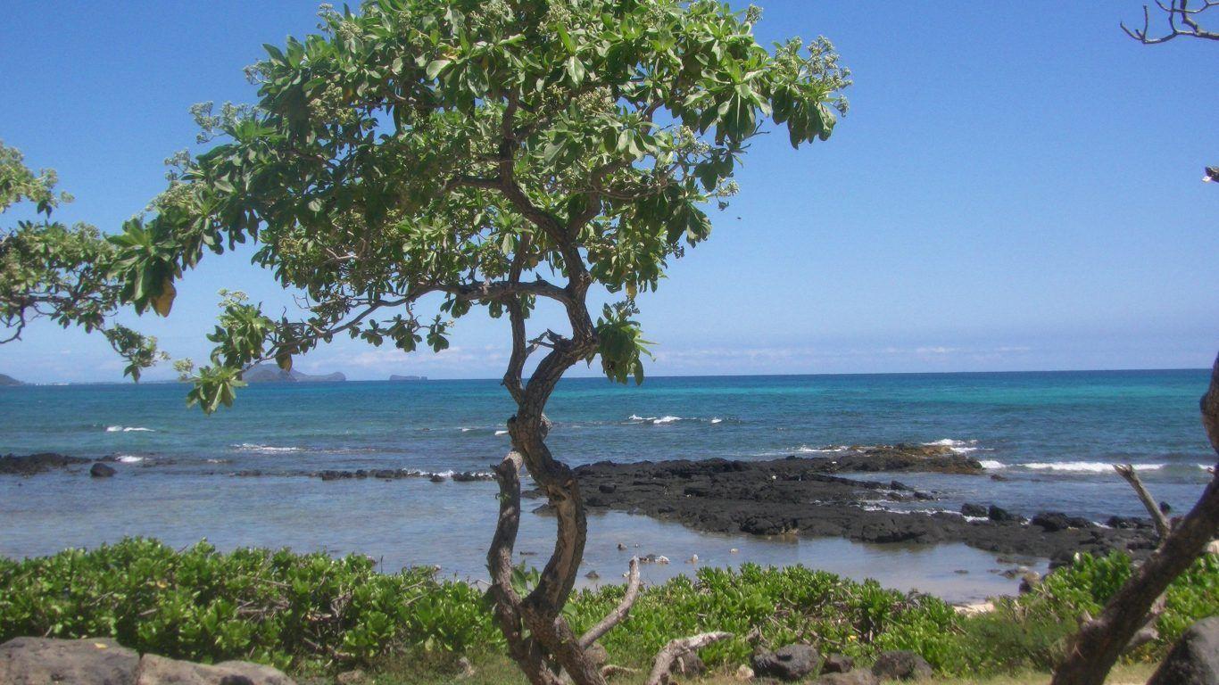 Beaches: Rock Island Palau Micronesia Wallpaper Picture HD for HD