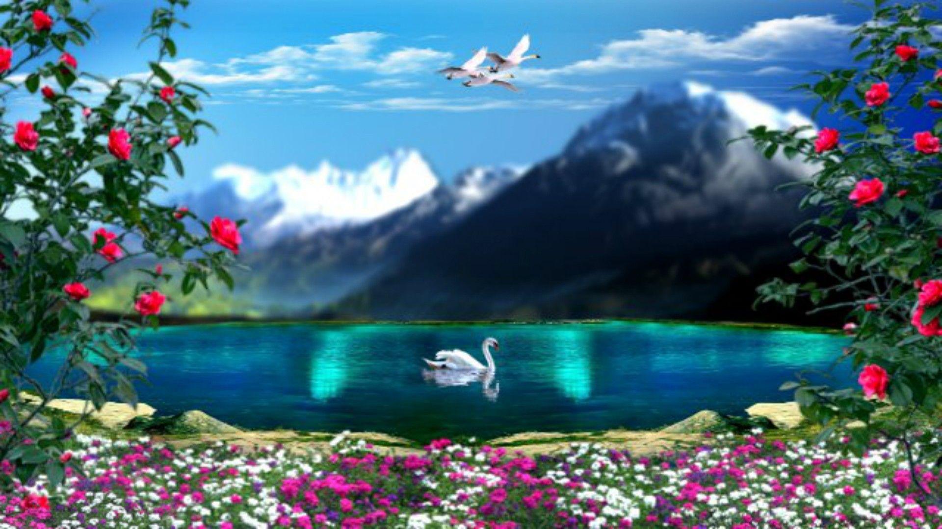 Swans Tag wallpaper: Spring Flowers Lakes Lake Landscape Swans