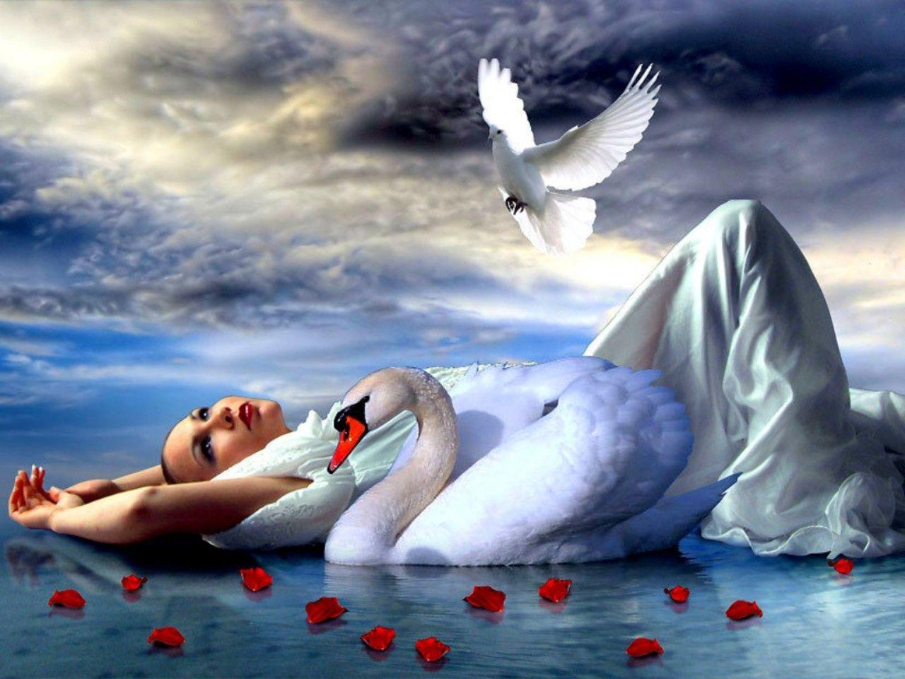 Fantasy Swan. Lady And The Swan Wallpaper Background 1280 X 960