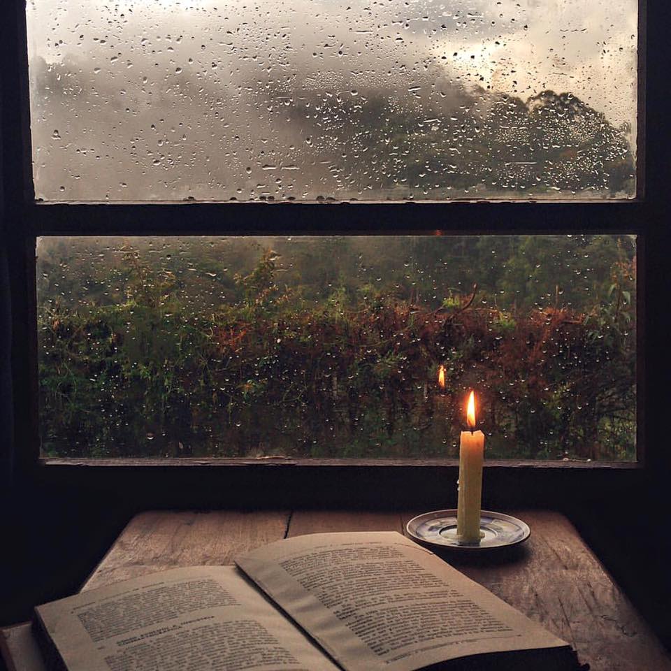 Rainy days should be spent at home with a cup of tea and a good
