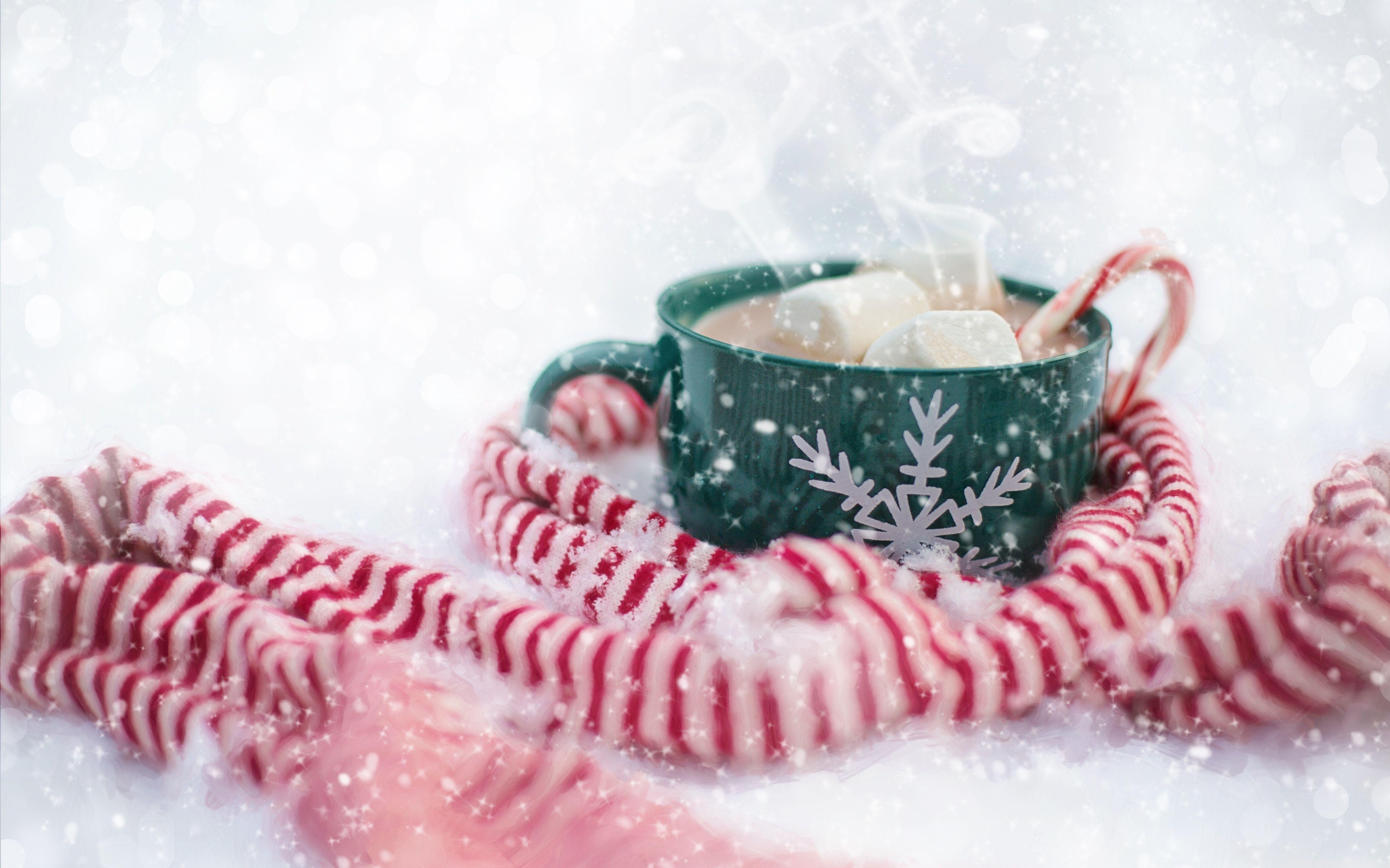 Hot Chocolate Christmas ❤ 4K HD Desktop Wallpapers for 4K