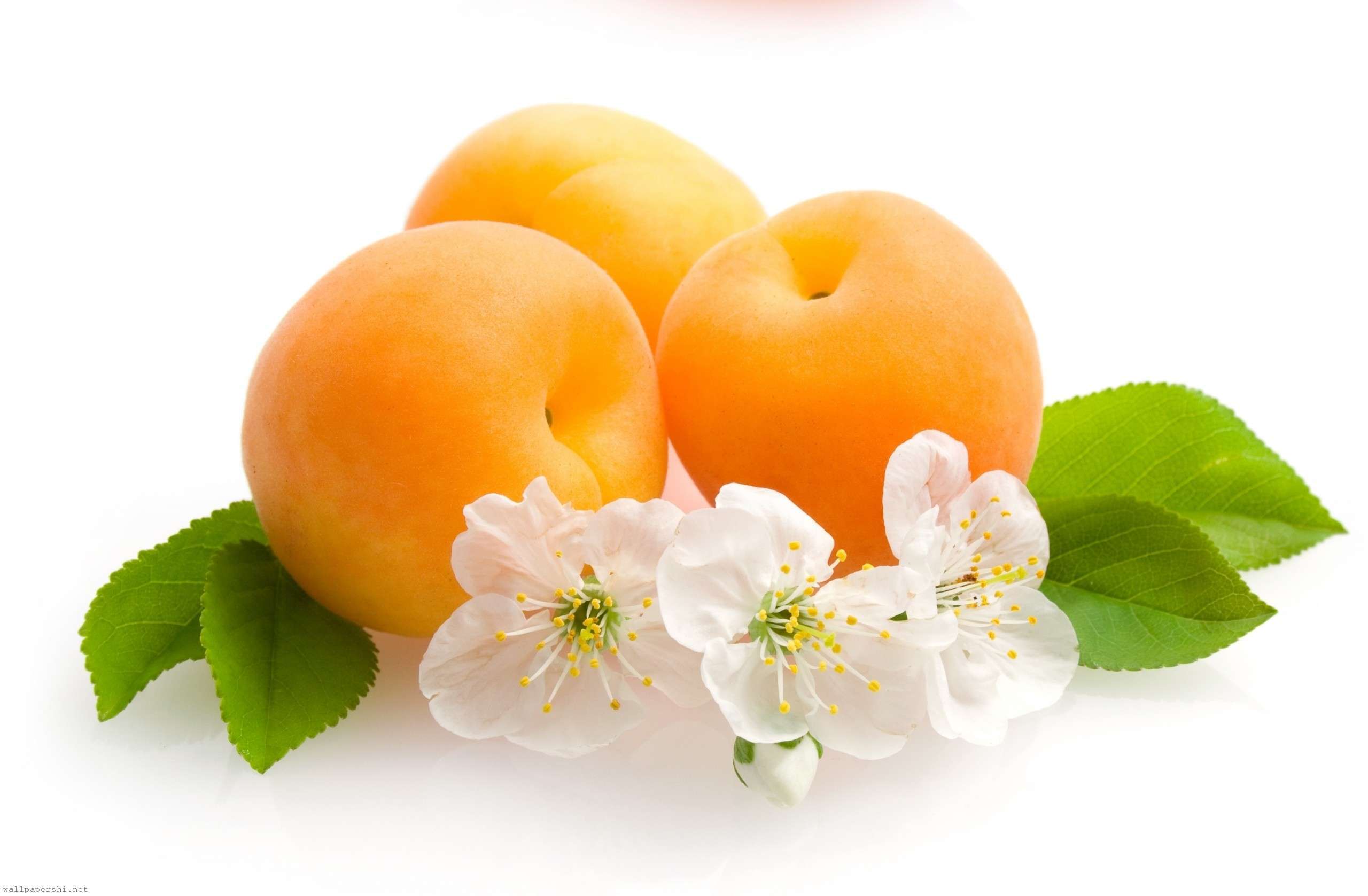 Apricot Fruit Wallpaper HD Desktop Image