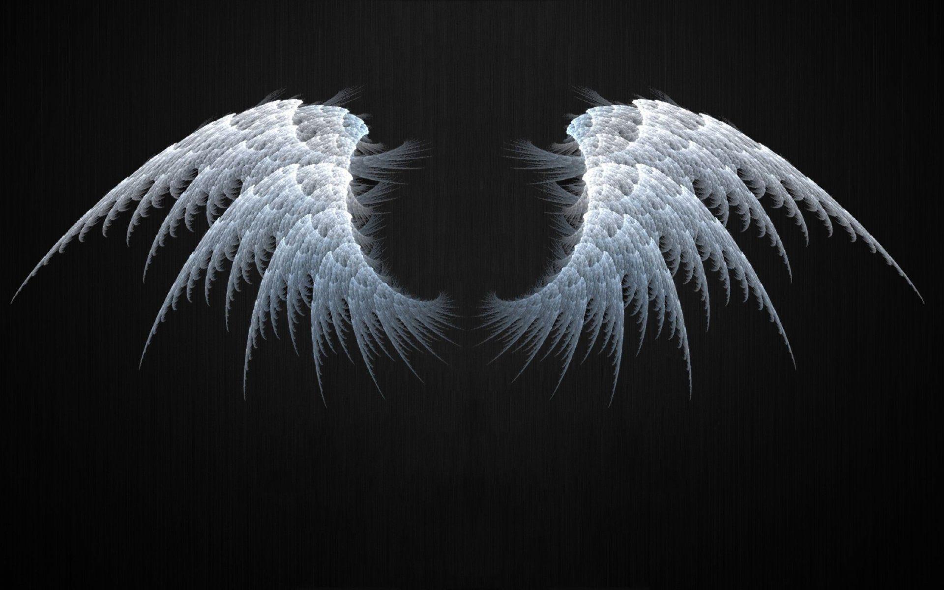Angel Wings Fractal wallpaper. Angel Wings Fractal