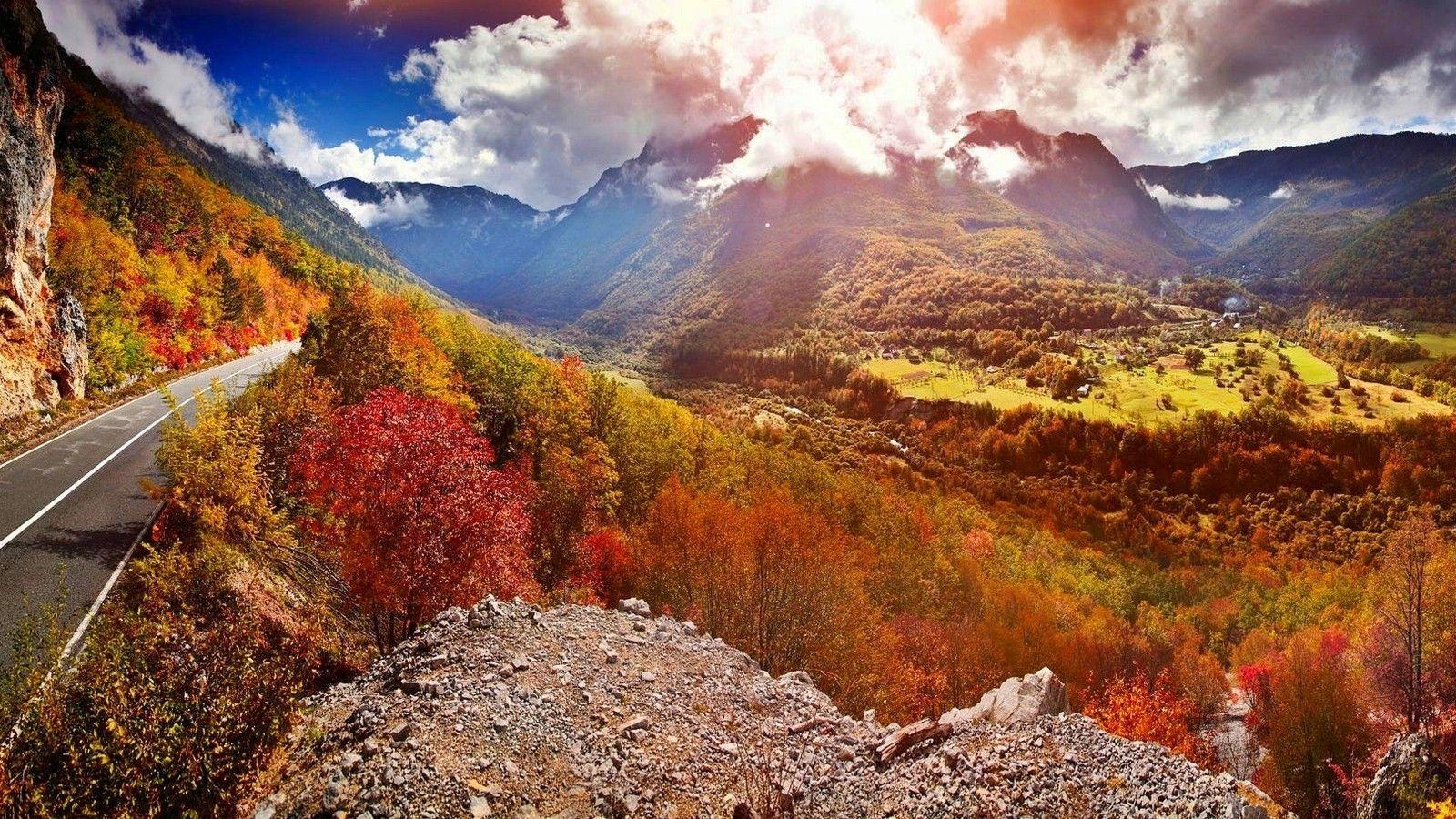 Черногория лес горы