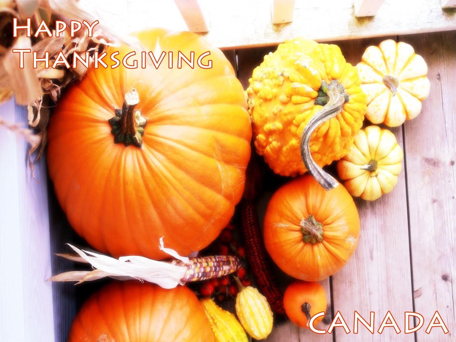 Free Happy Thanksgiving Canada computer desktop wallpaper