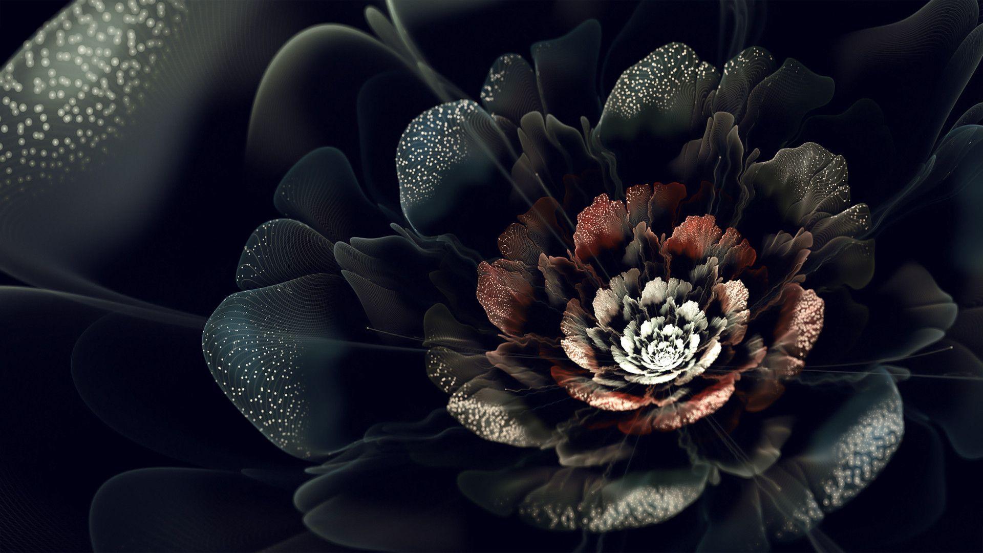 Black Floral Background Wallpaper