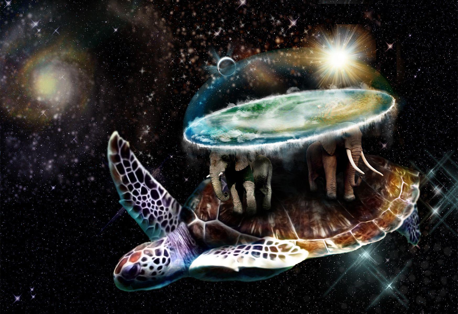 Turtles All The Way Down Wallpapers Wallpaper Cave