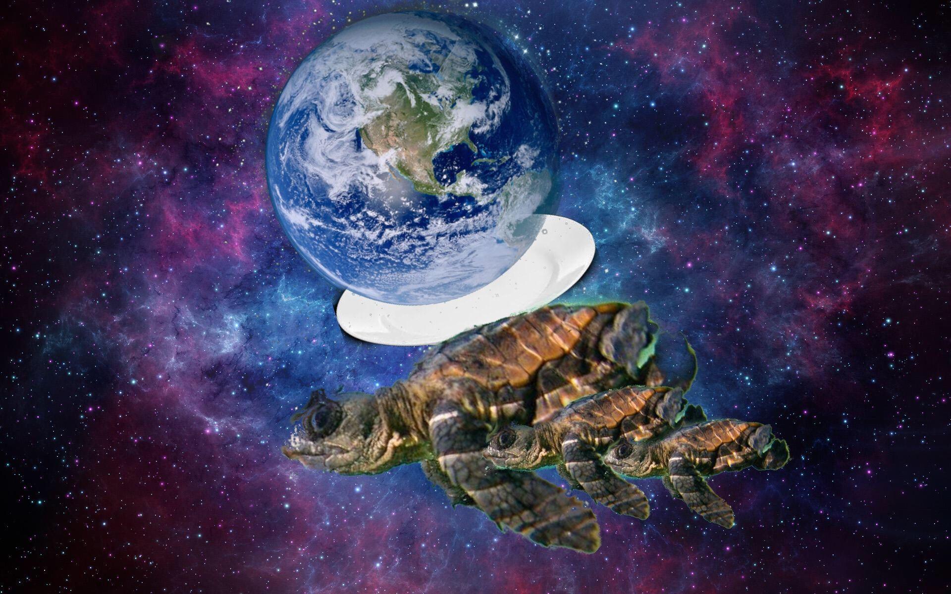 Turtles All The Way Down Wallpapers Wallpaper Cave