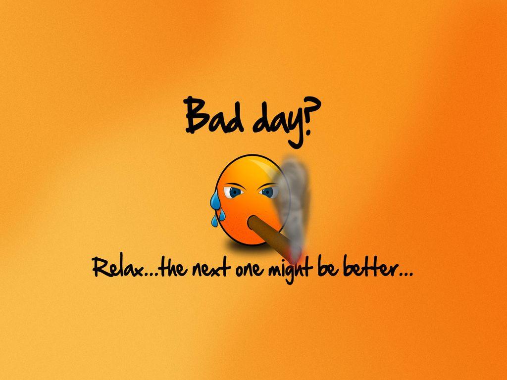Funny Wallpaper Bad Day Funny Advice Free Hd Wallpaper