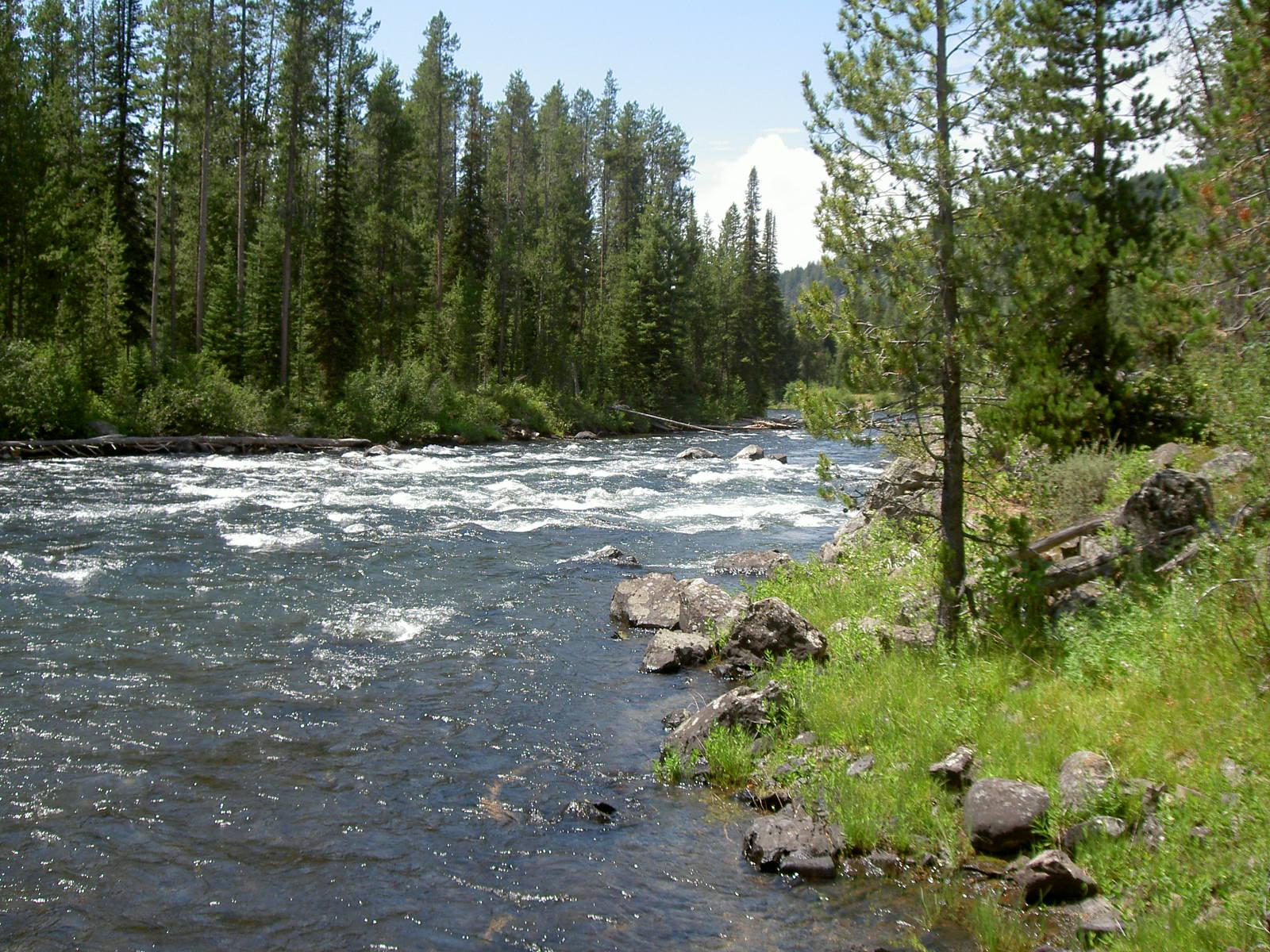 River Image