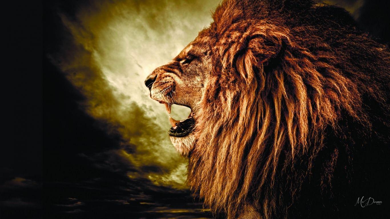 Roaring Lion Wallpapers - Wallpaper Cave