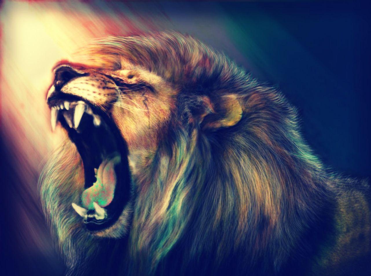Lion Wallpaper, Background, Image, Picture. Design