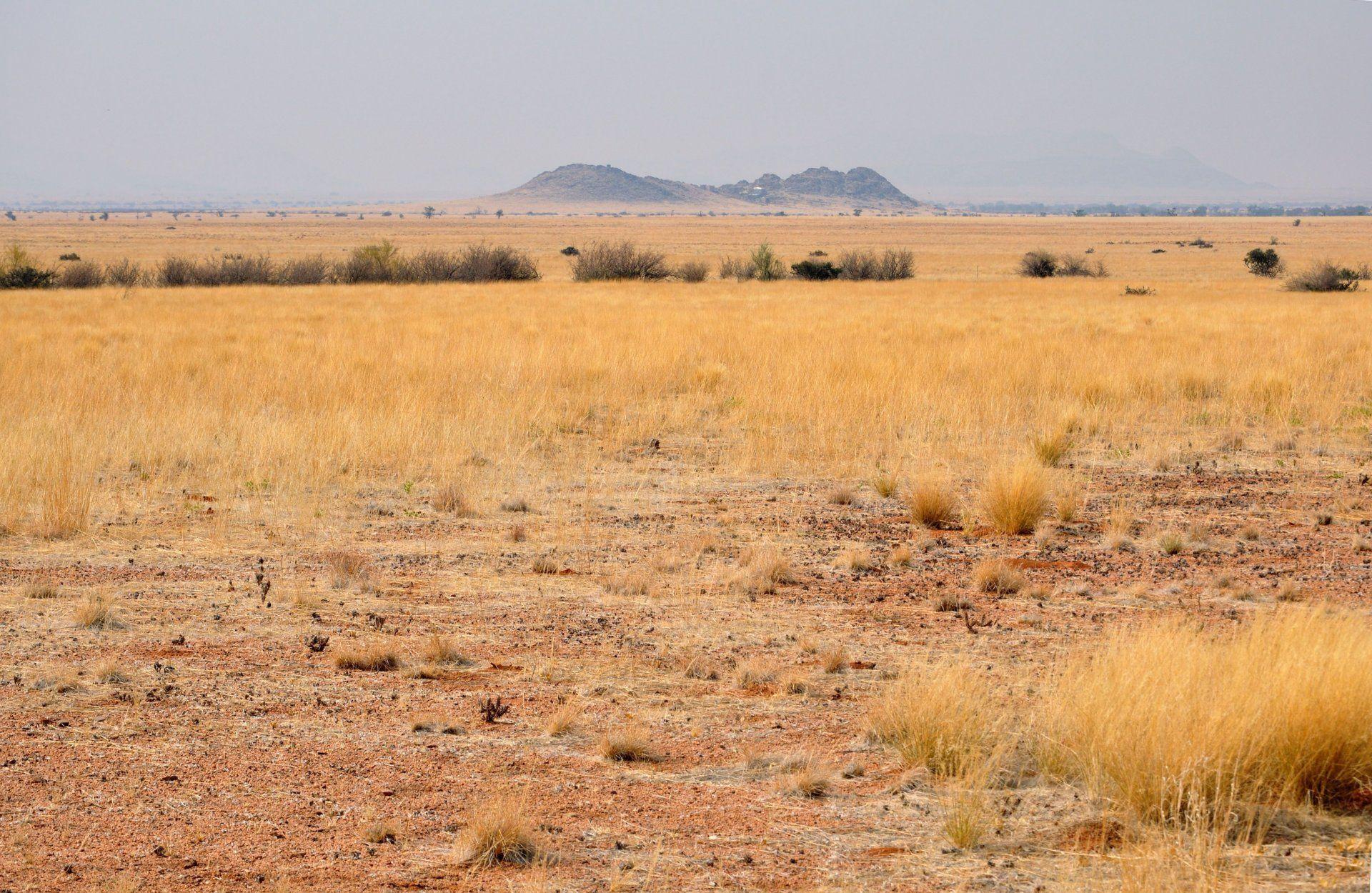africa south africa namibia landscape desert savannah HD wallpaper