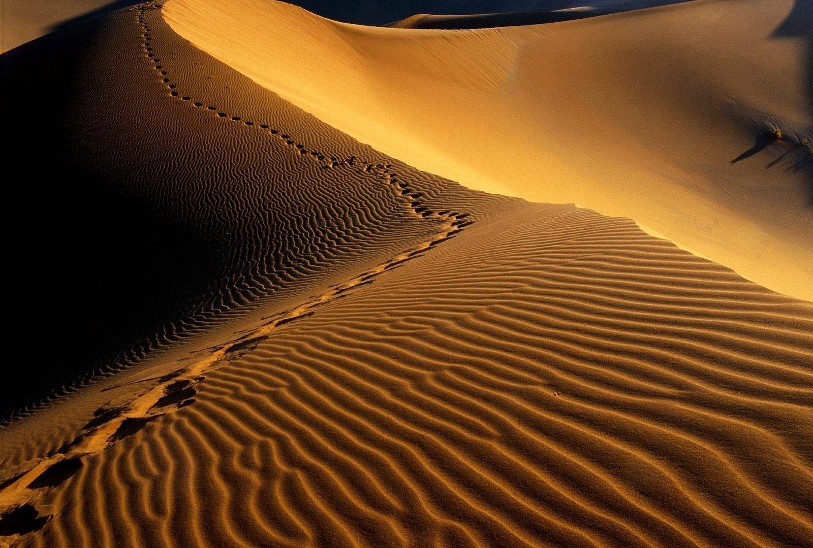 Desert Tag wallpaper: Desert Namibia Namib Africa Sahara Picture