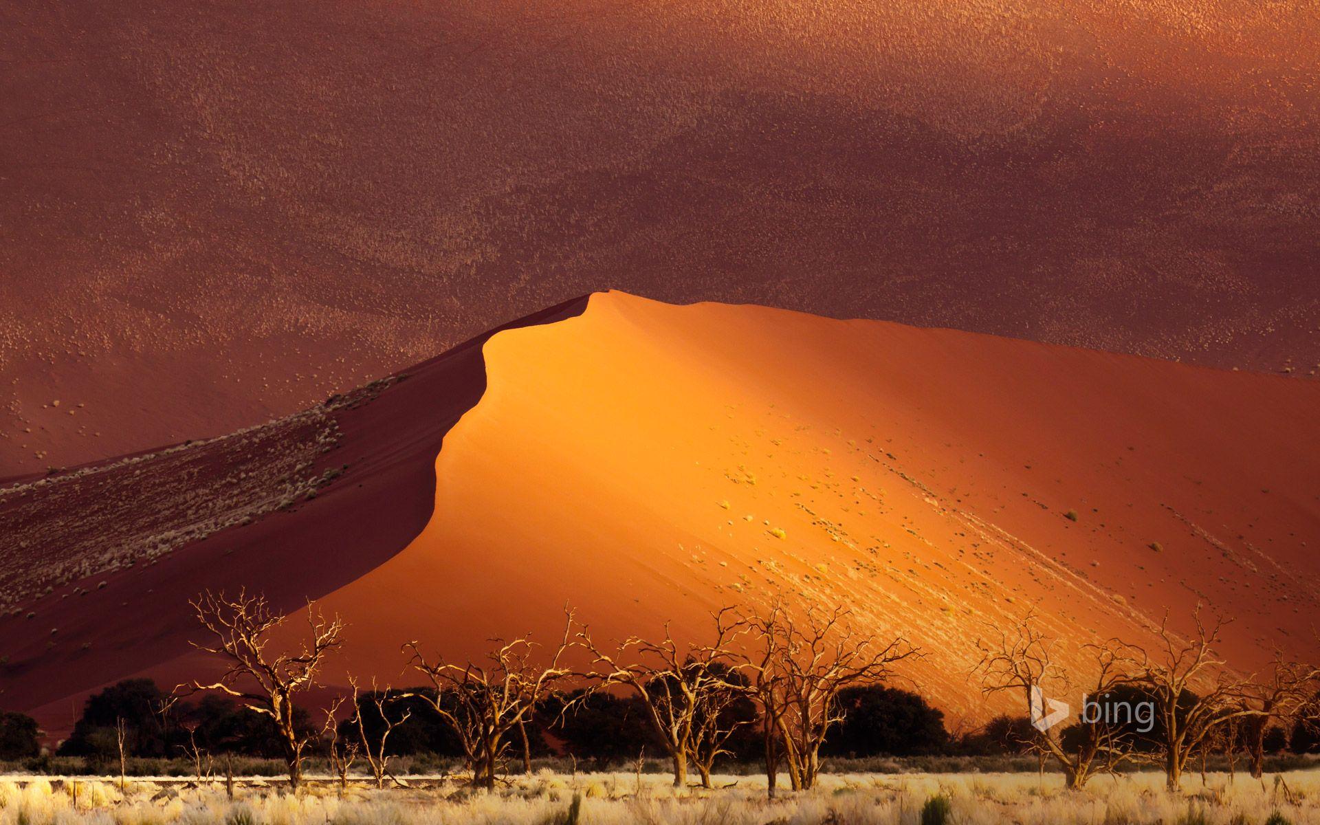 Sand Dune, Sossusvlei, Namibia © Erik Joosten Minden Picture