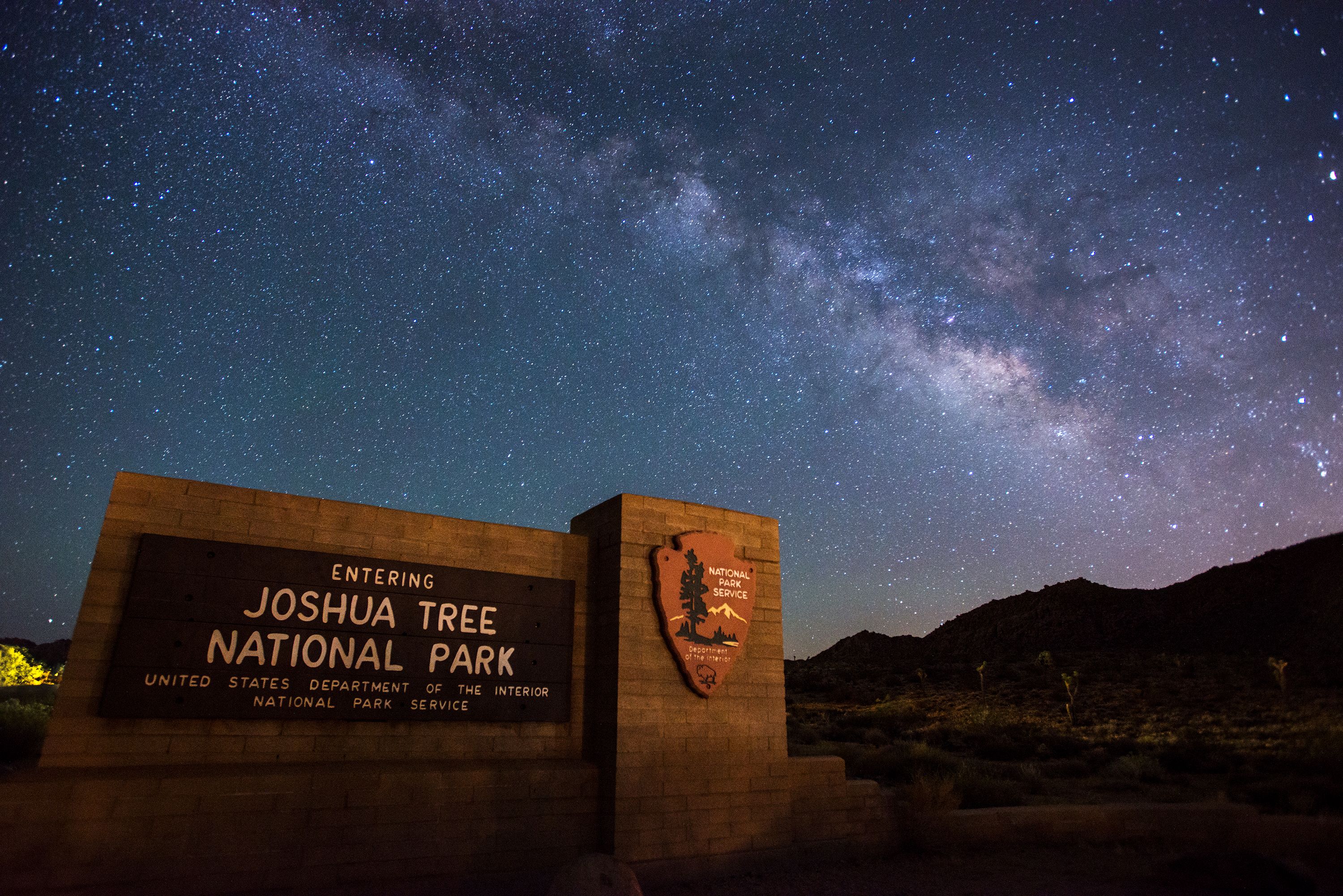 Stargazing Tree National Park (U.S. National Park Service)