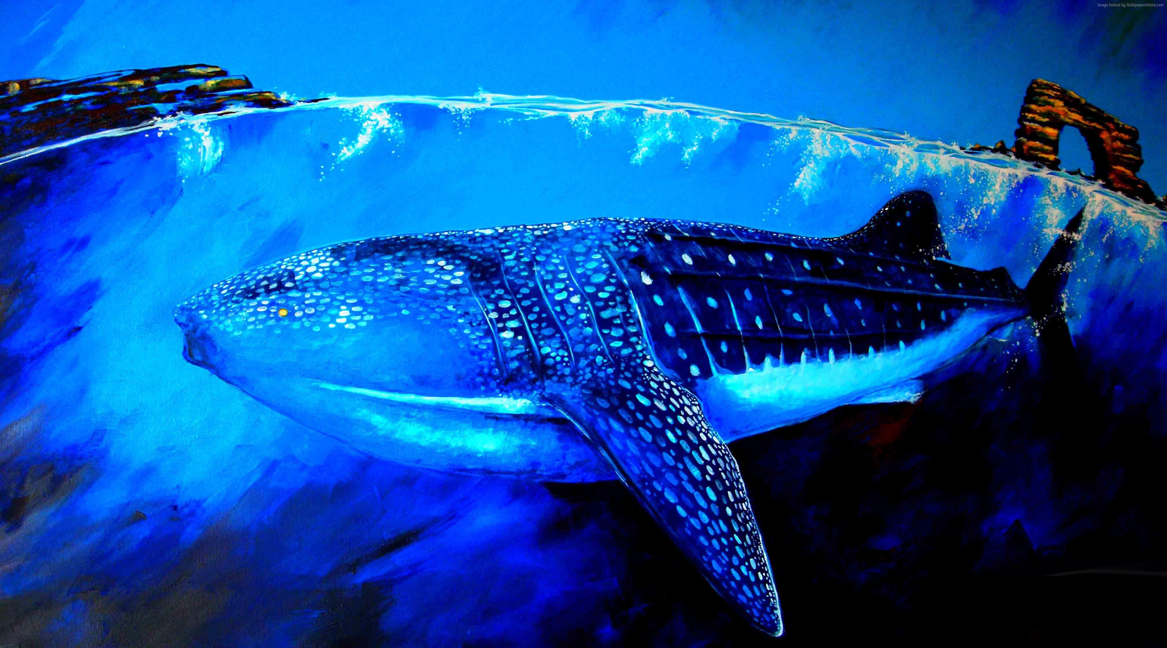 Wallpaper Whale Shark, underwater, art, Animals